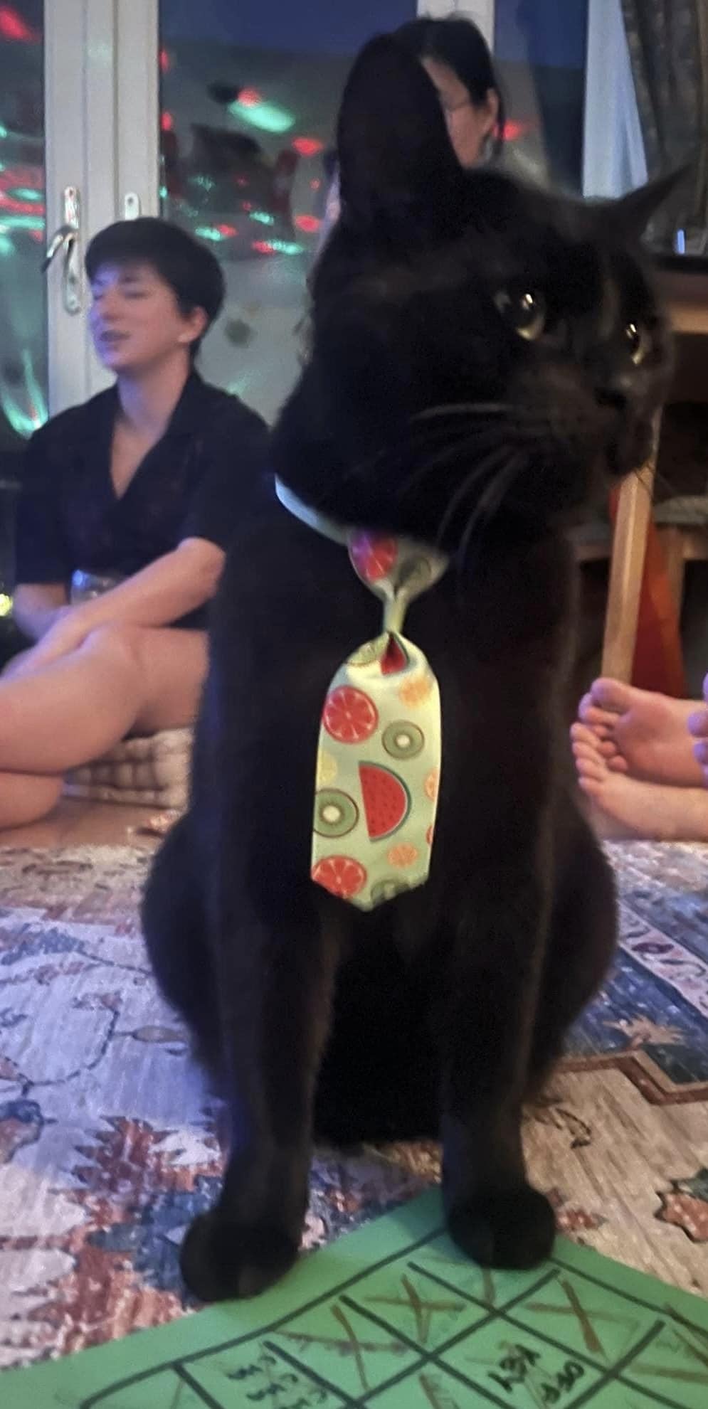 447407087_1047526123527366_4384937564941499417_n