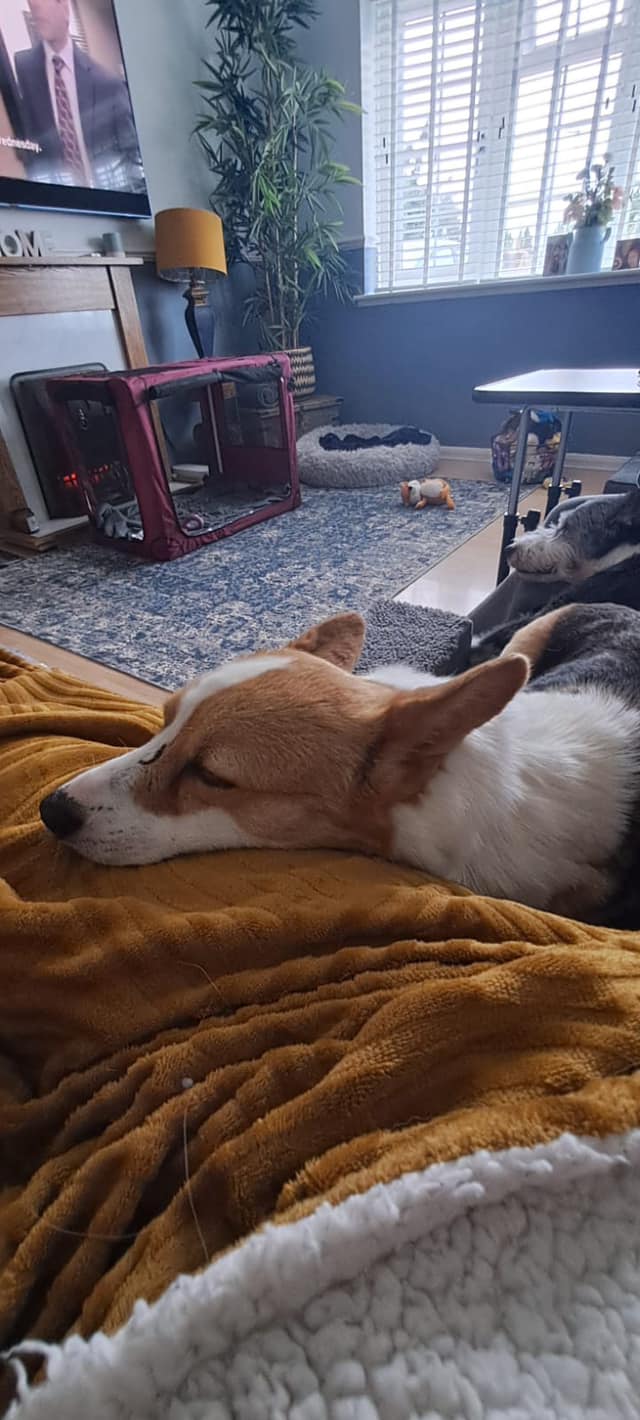 447468629_1049491683330810_7004324502080646101_n