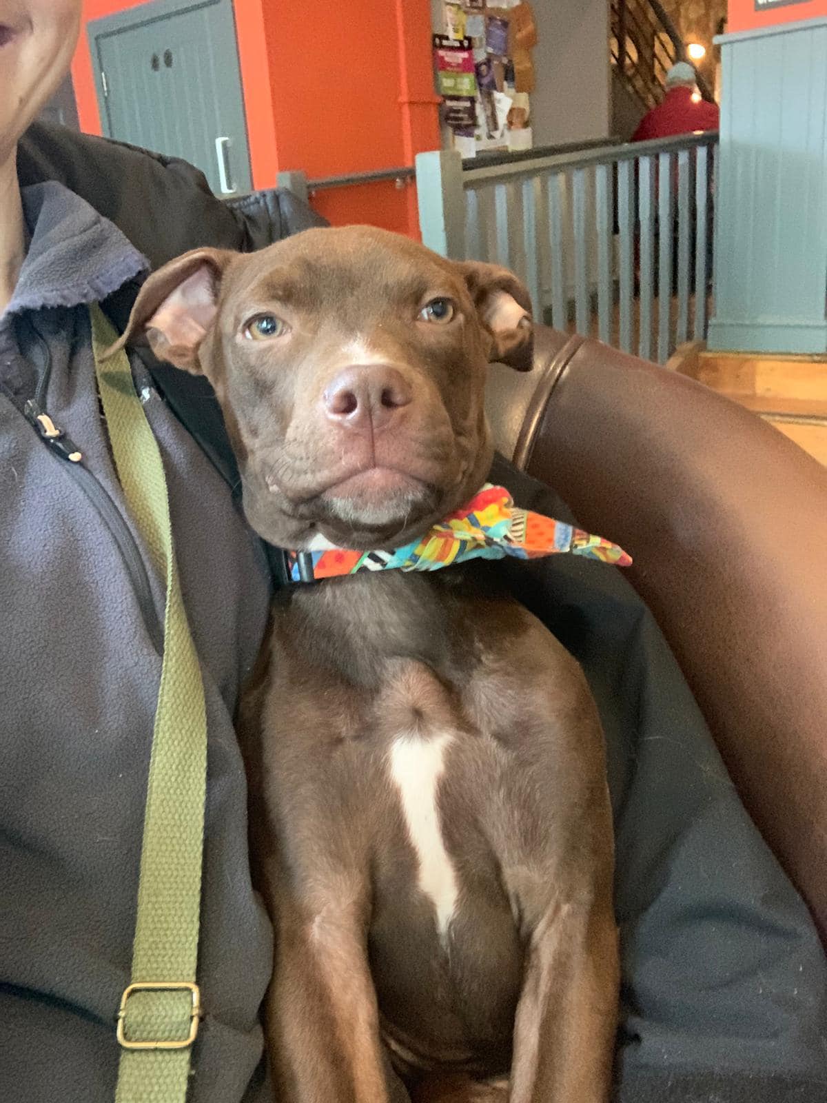 447564419_1048724120074233_6061147322924527678_n