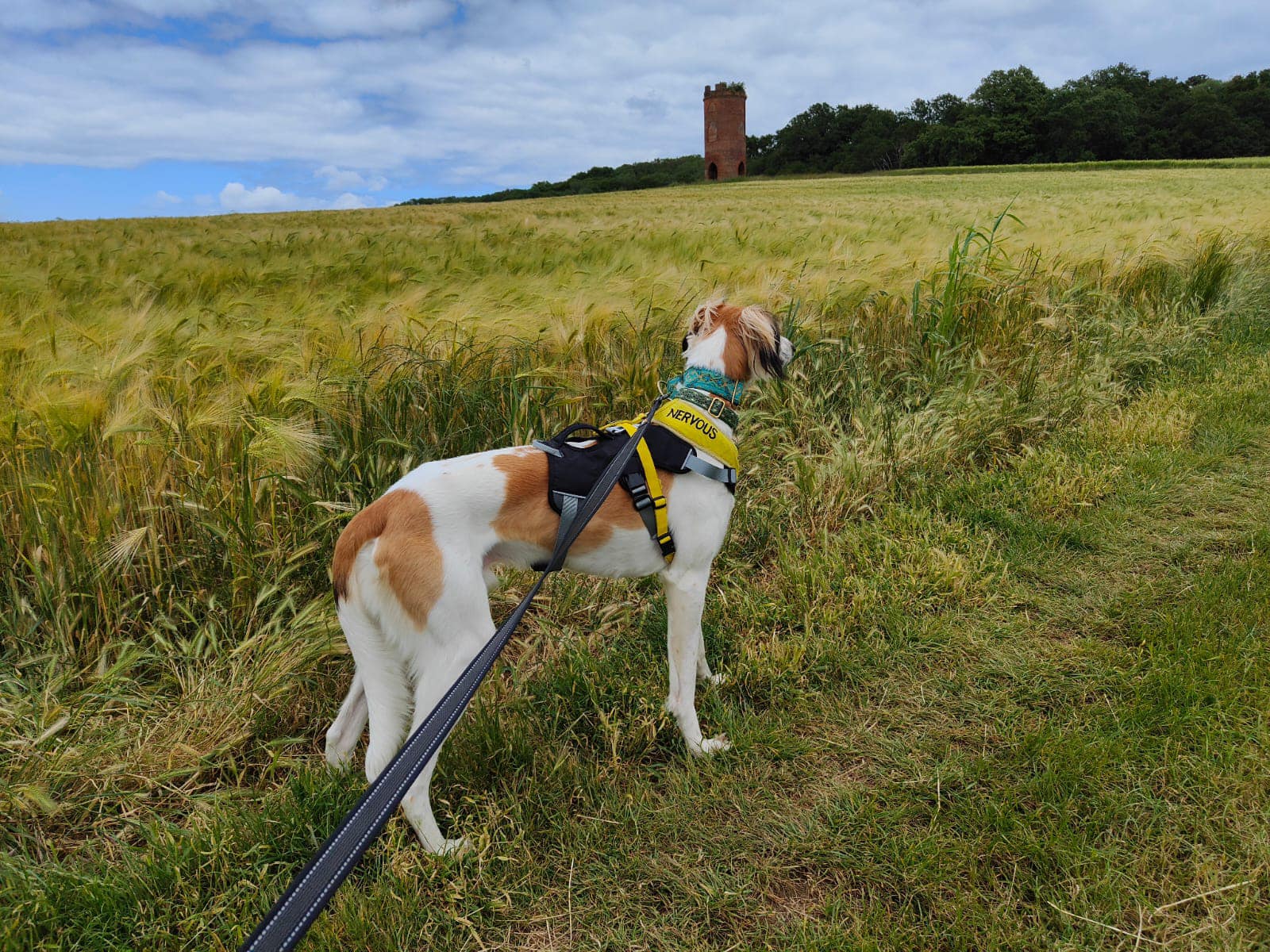 448044079_1052923679654277_1147592943008474250_n