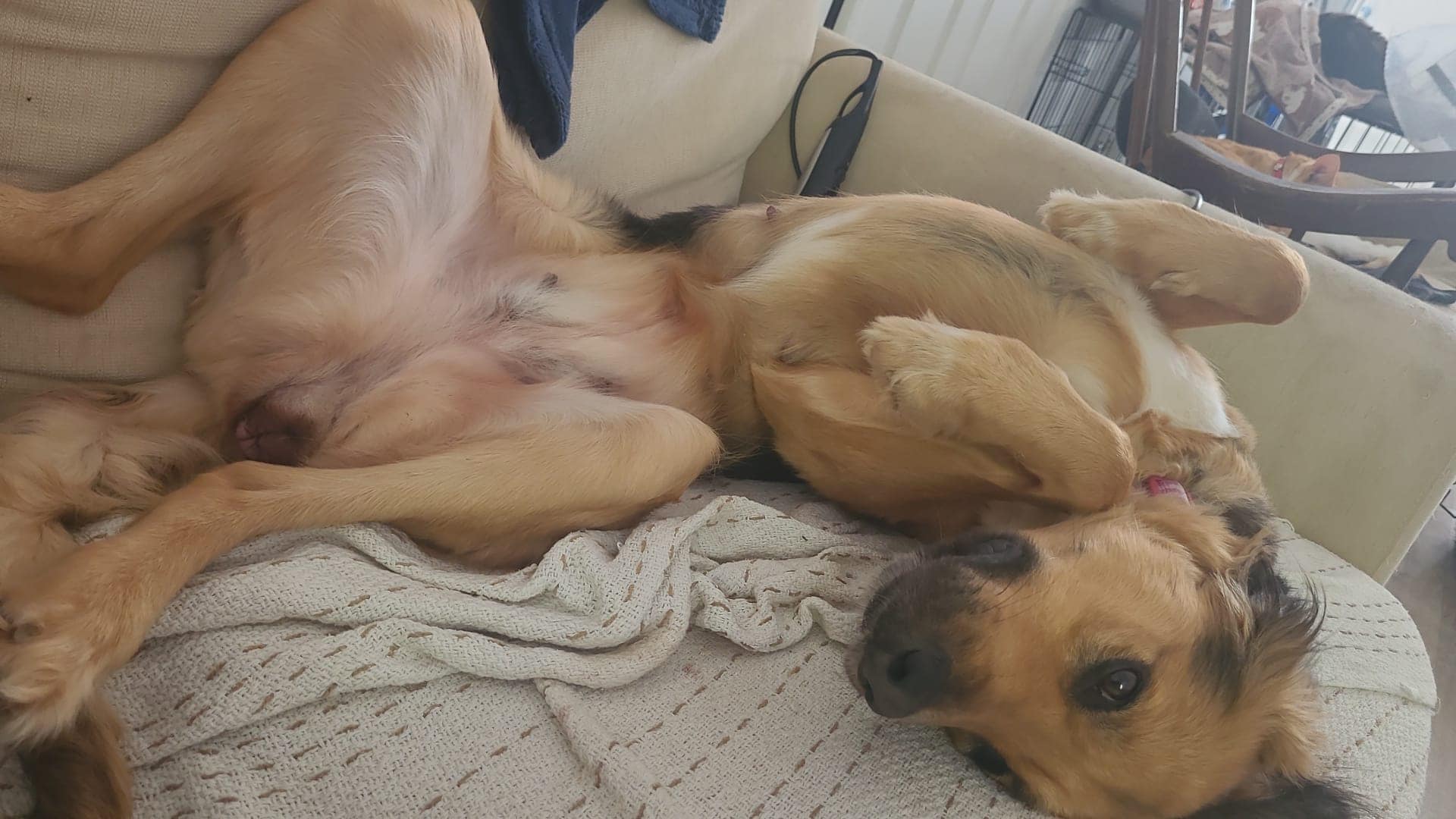 448368300_1054399532840025_146881138551719761_n