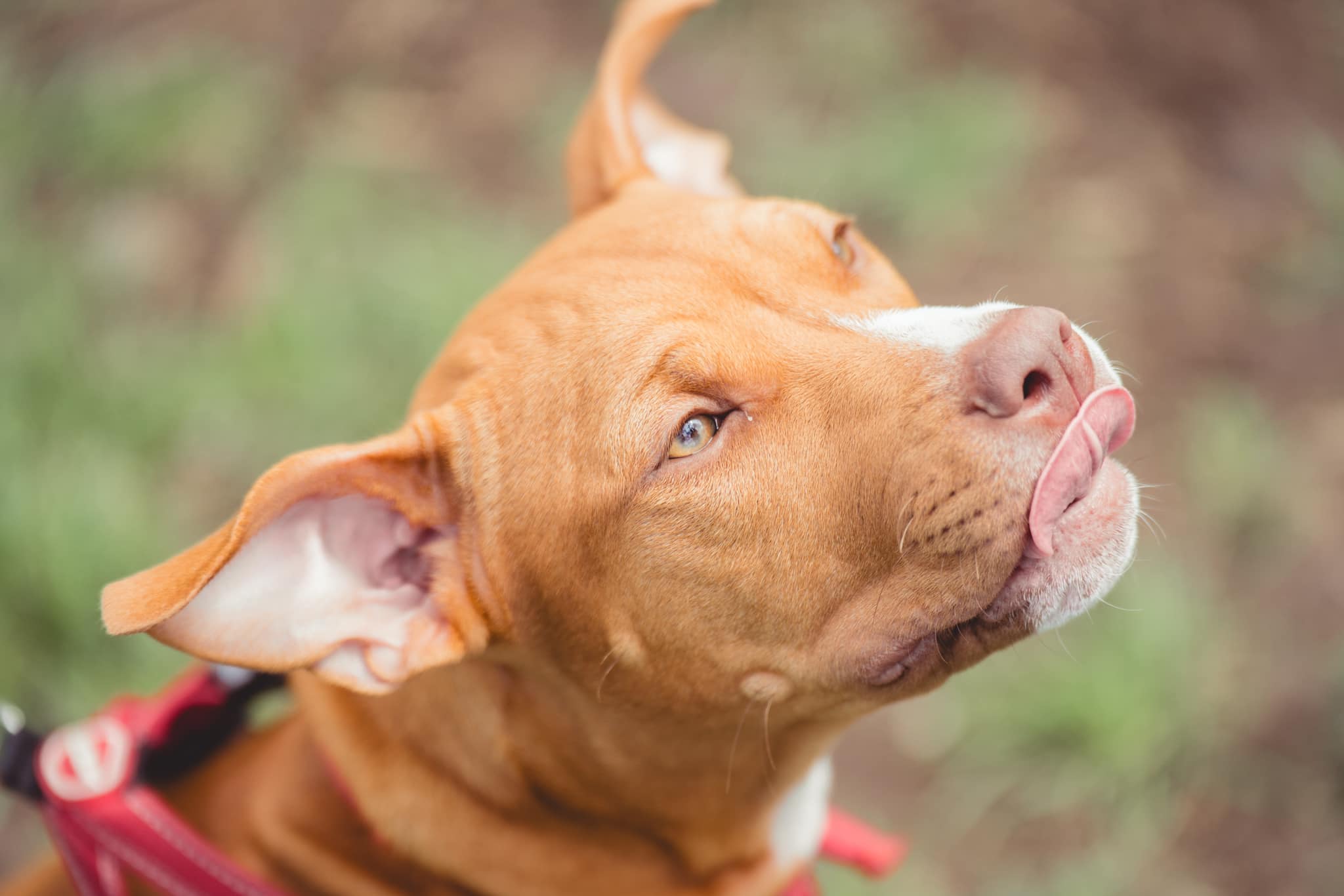 448496677_1056346415978670_7828639485909629053_n