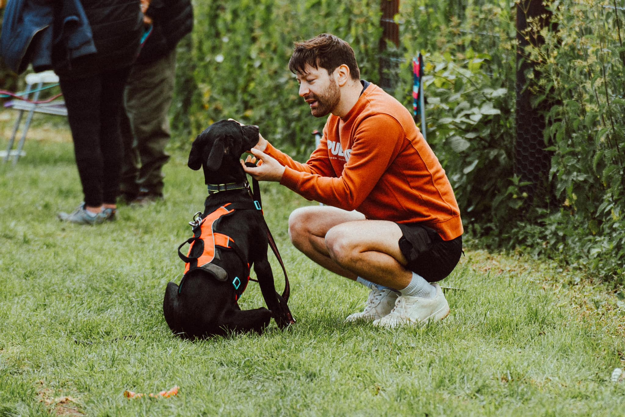 448501442_1056347322645246_709000379724555853_n