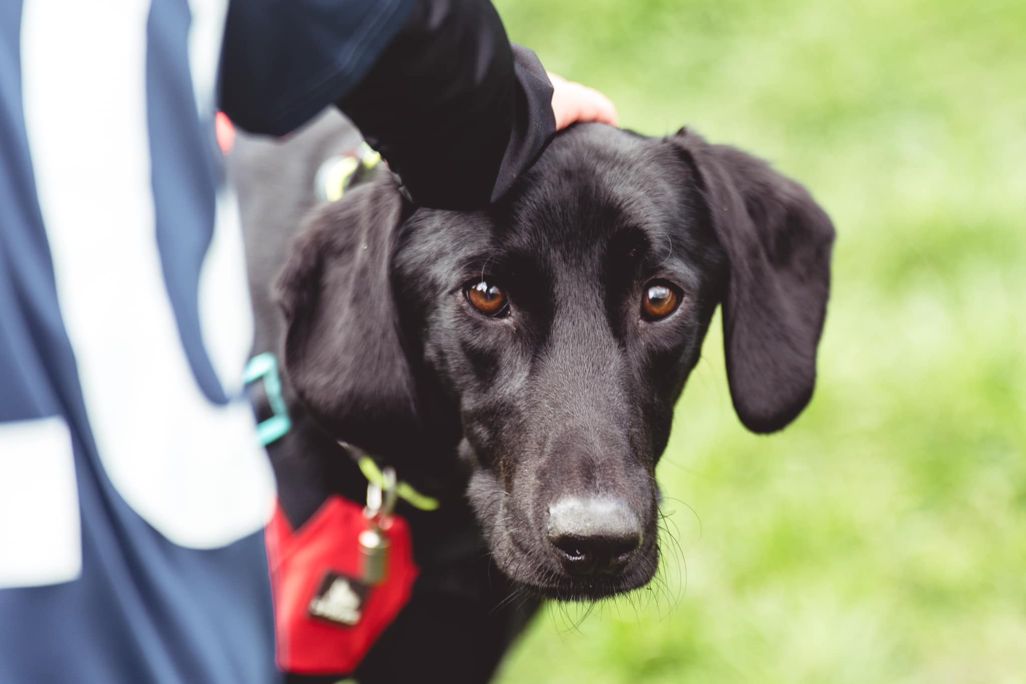 448505586_1056347399311905_960215916674311304_n