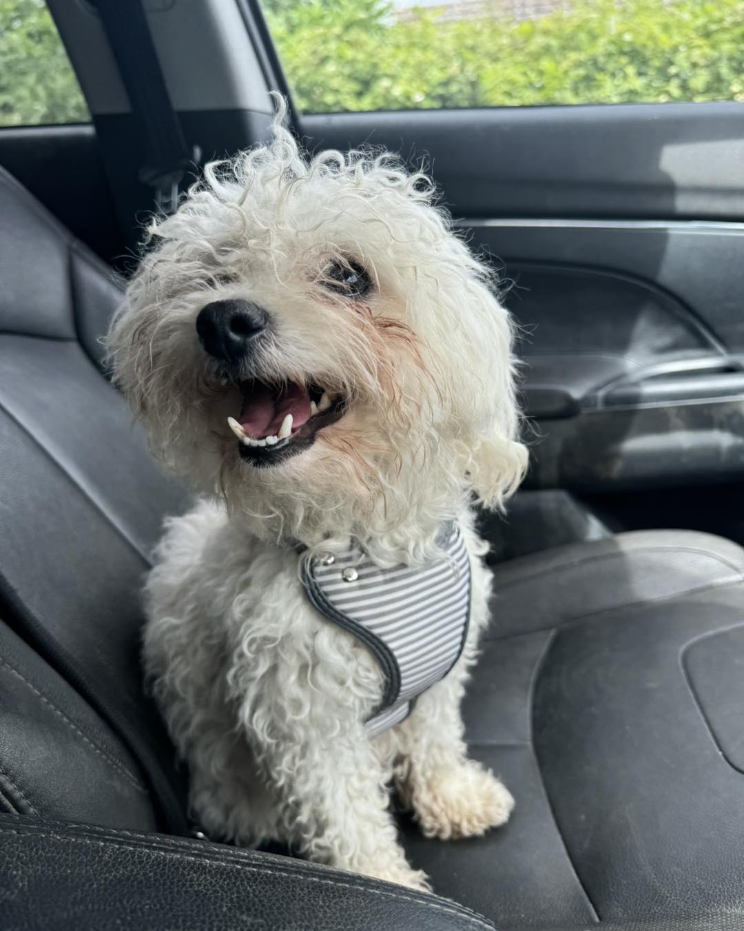 447773400_1050791093200869_7314025577485250998_n