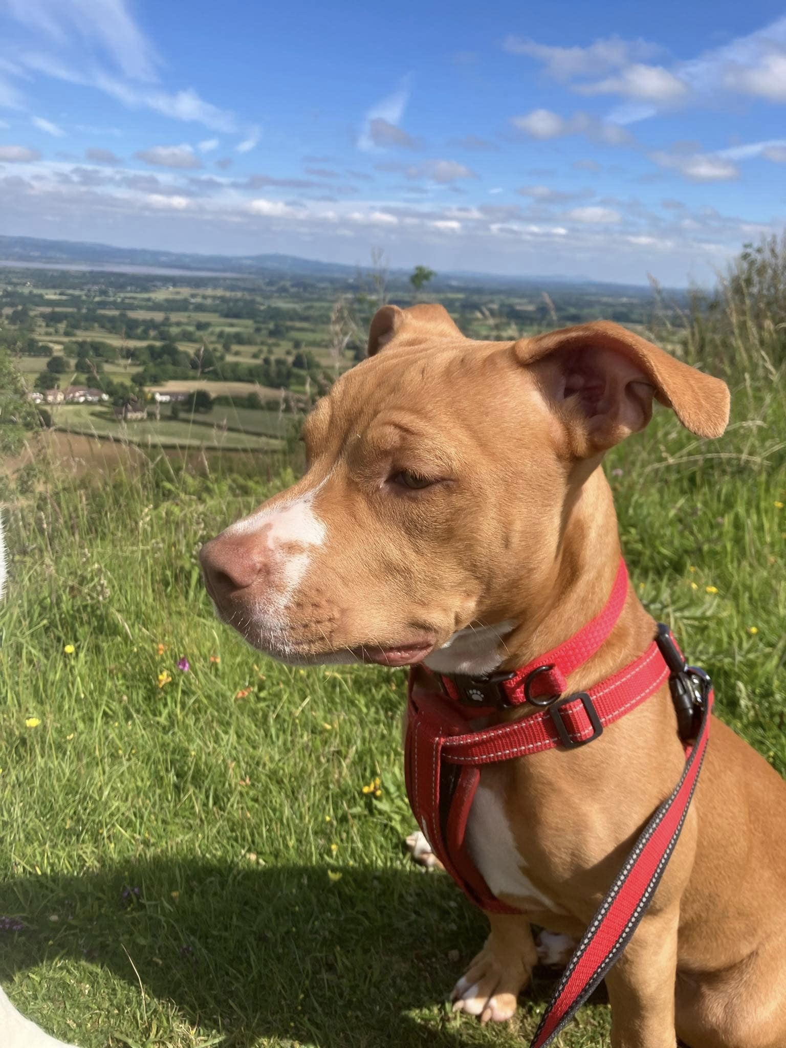 449133017_1064066848539960_3686028746288078588_n