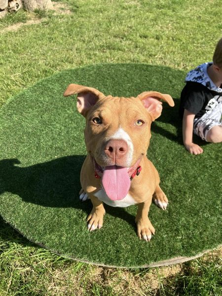 449141538_1064066838539961_8956226352276885094_n