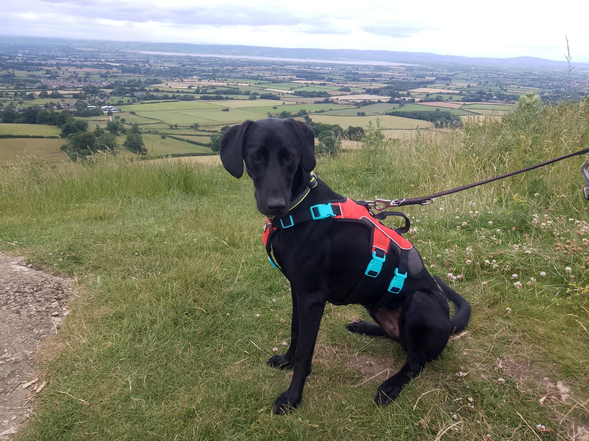 450535390_1075352090744769_6534825367269765034_n