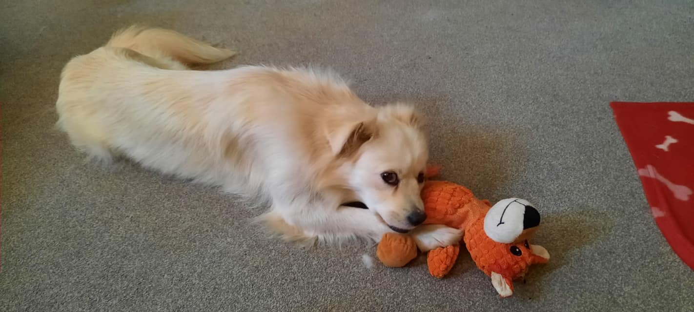 451782155_1079945970285381_8039403227636914819_n