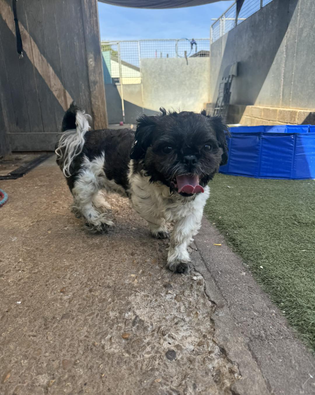 497718249_1324792615800714_6807853045827720199_n