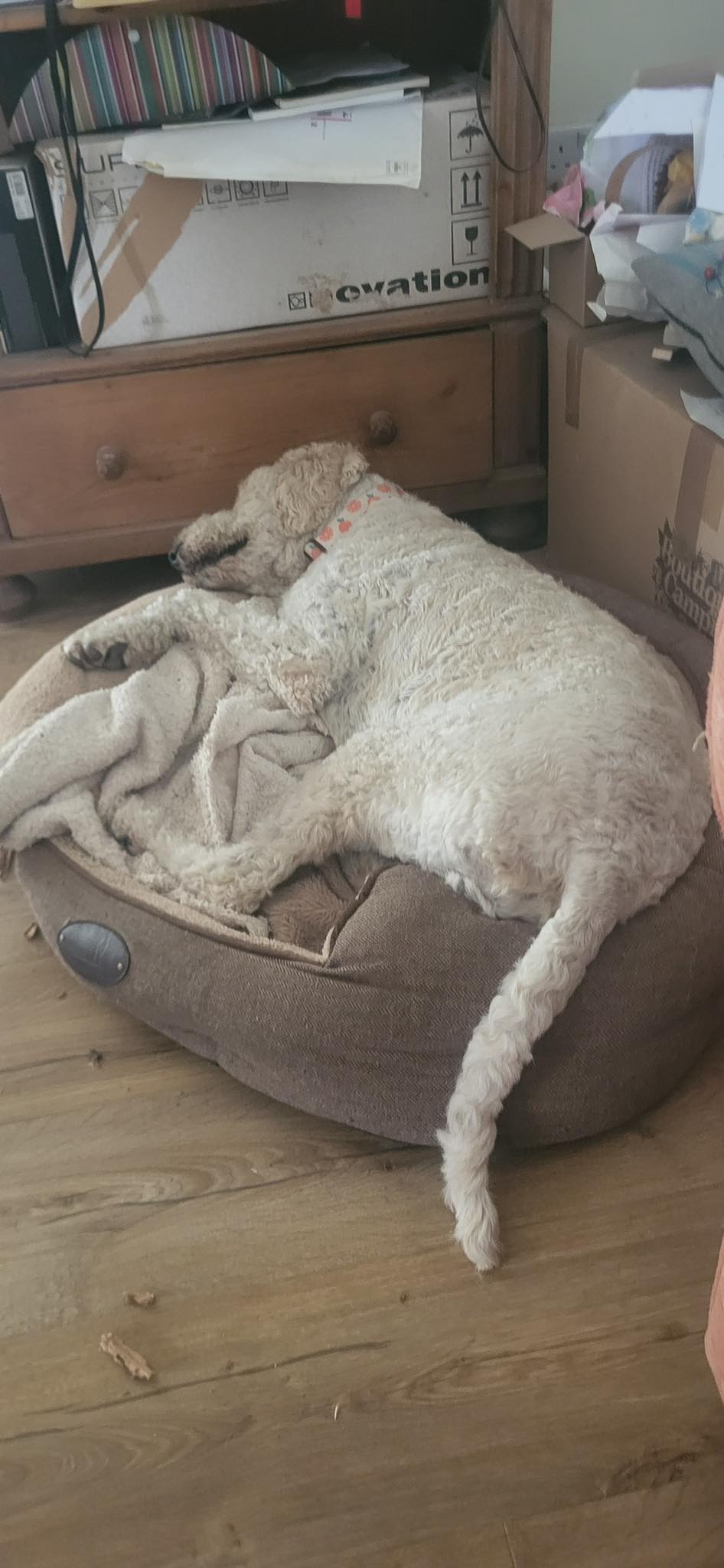 514403888_1389181959361779_3819342912131188424_n