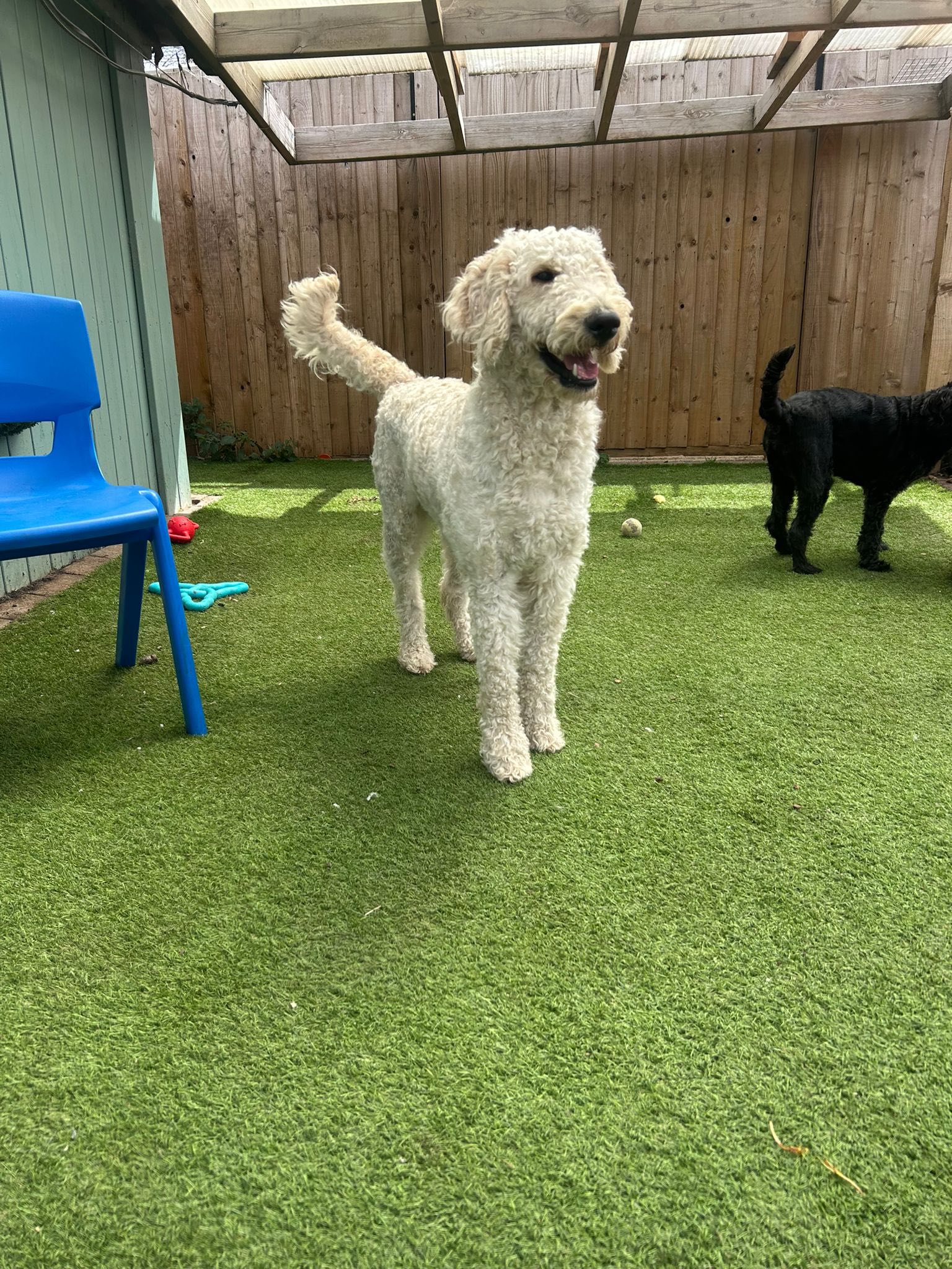 516499453_1371699061110069_1230972312053453763_n