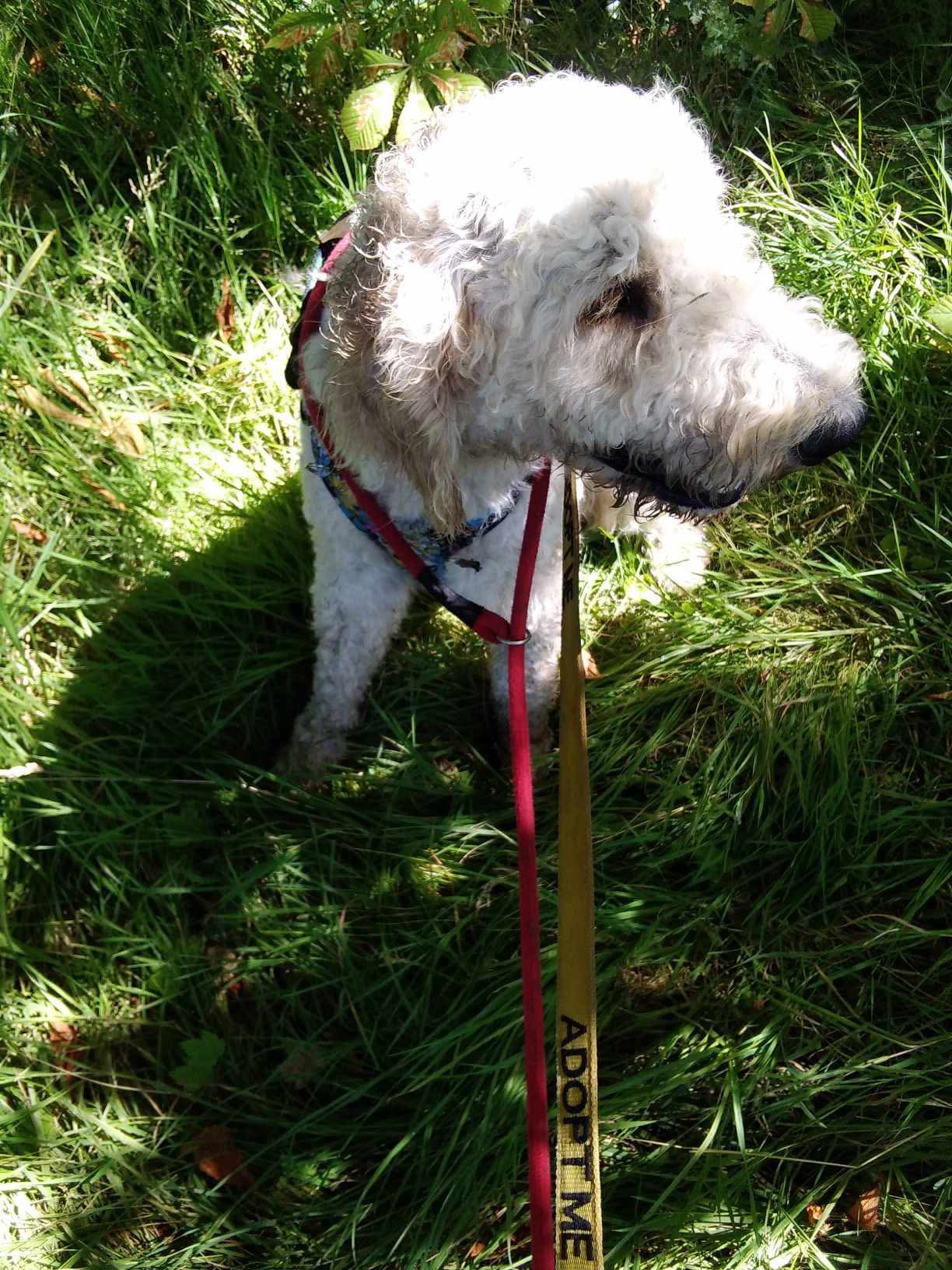 517025441_1372601711019804_5816124638816814946_n