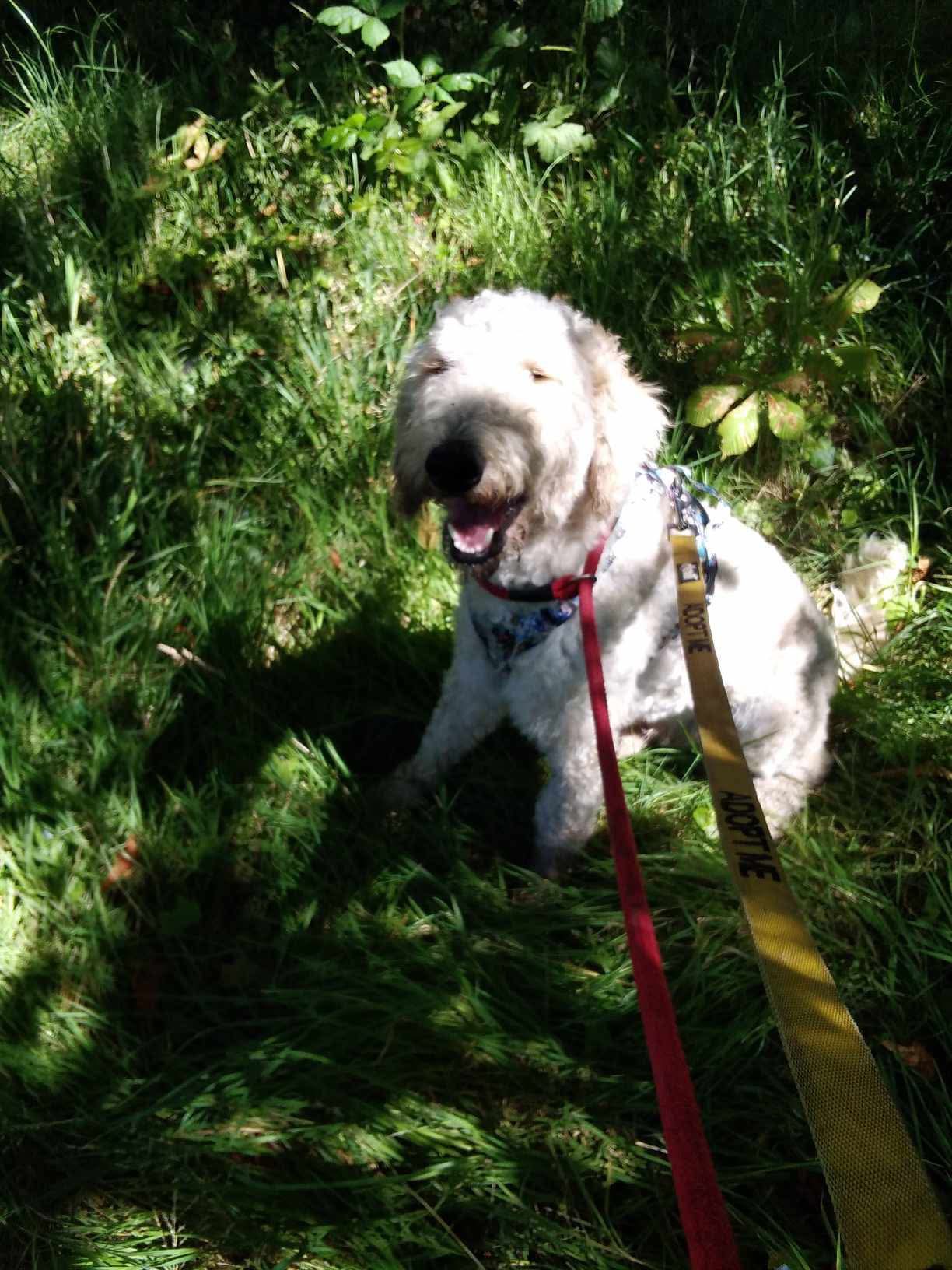 517579881_1372601704353138_6396341349120675614_n