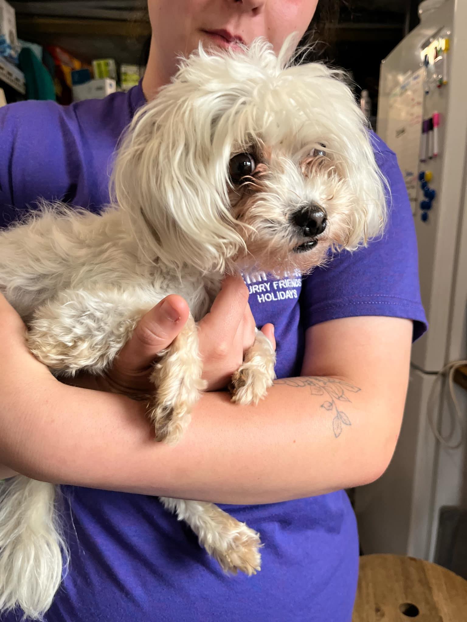 534780740_1408071520806156_565325860694735514_n