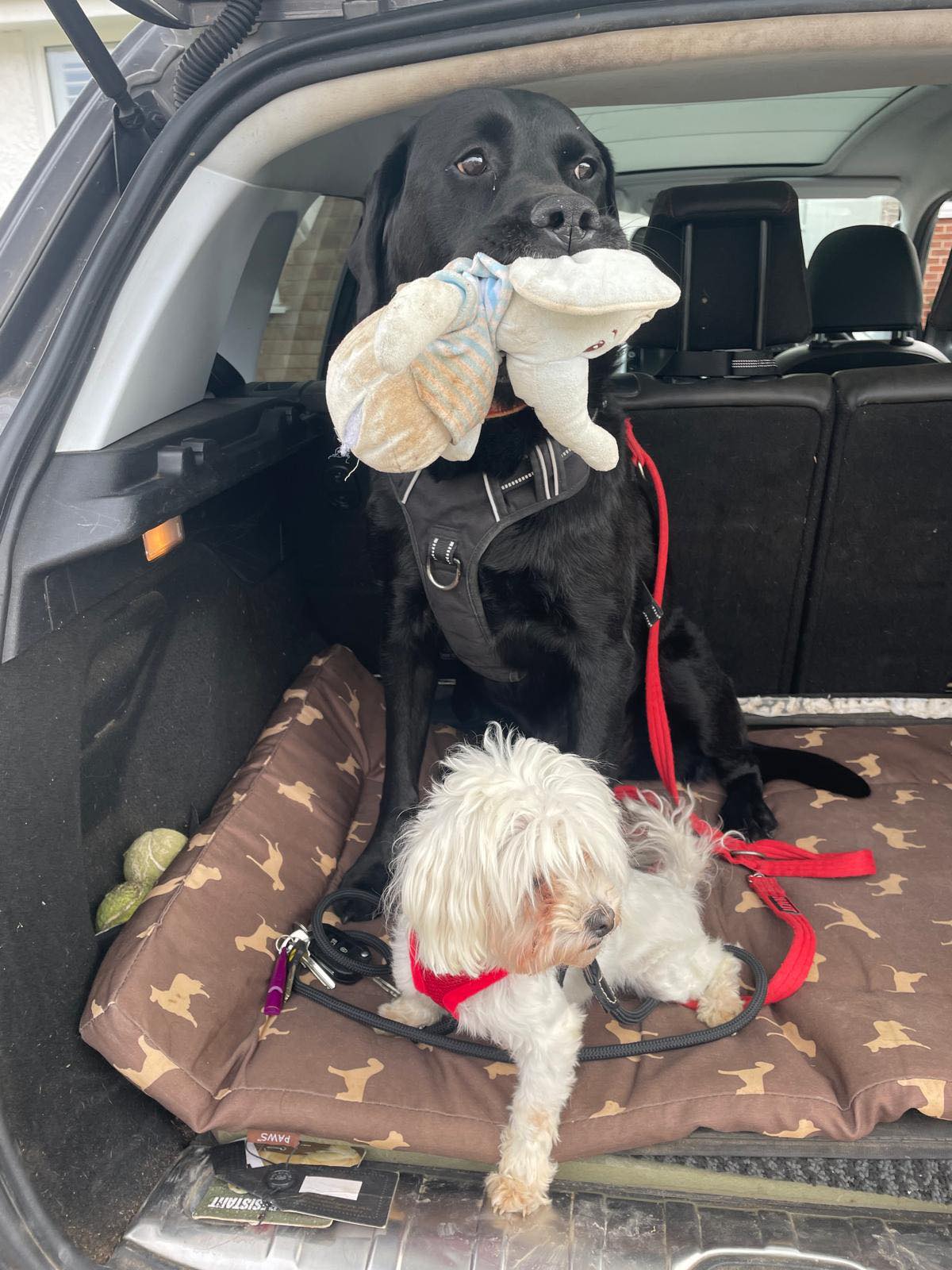 536589156_1411586957121279_6758915110753396435_n