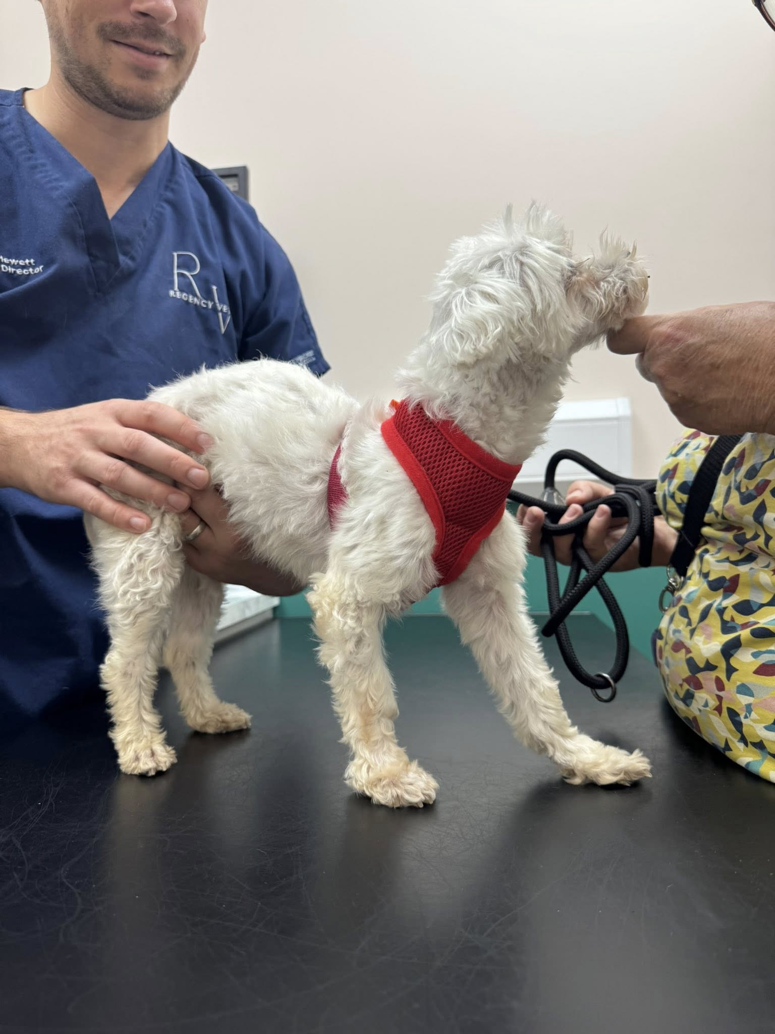 539894481_1416926456587329_5195980393166797259_n