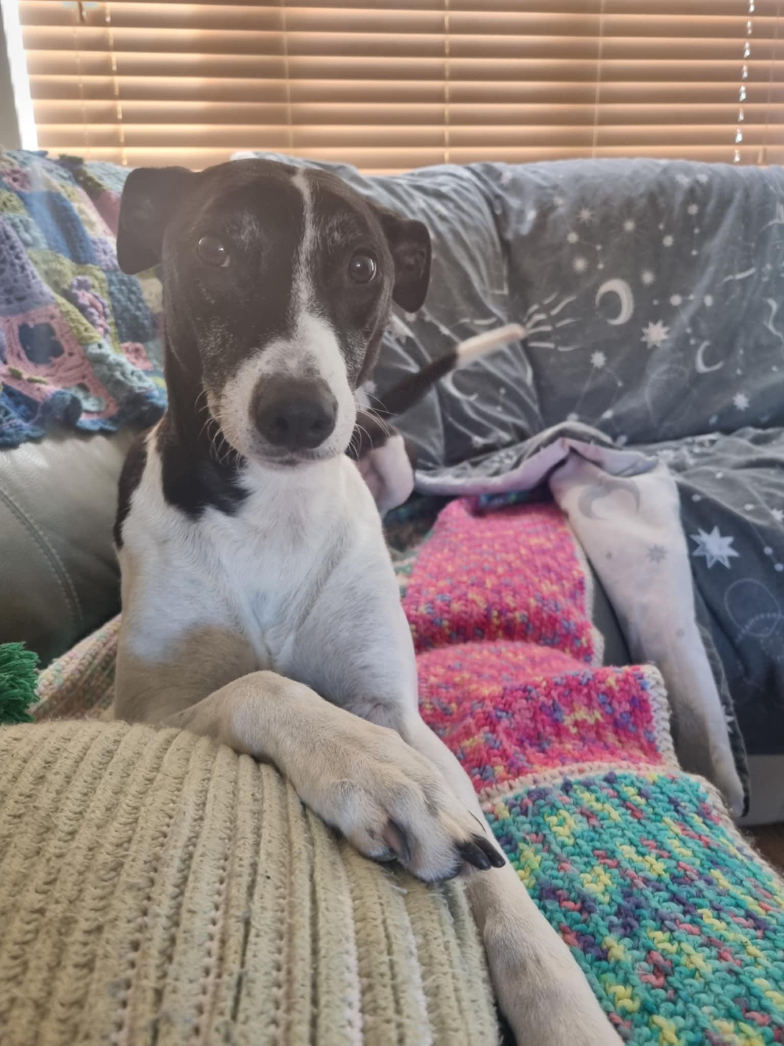 550116240_1439708384309136_5183667027033348071_n