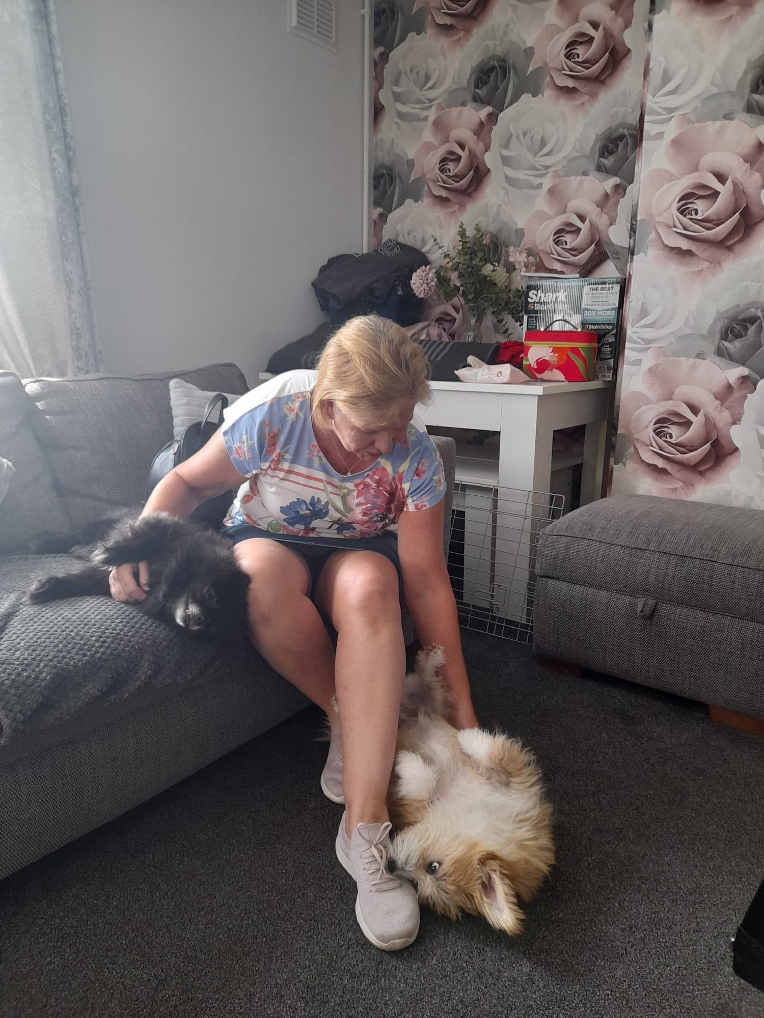 552253909_1440469060899735_8812344666869022340_n