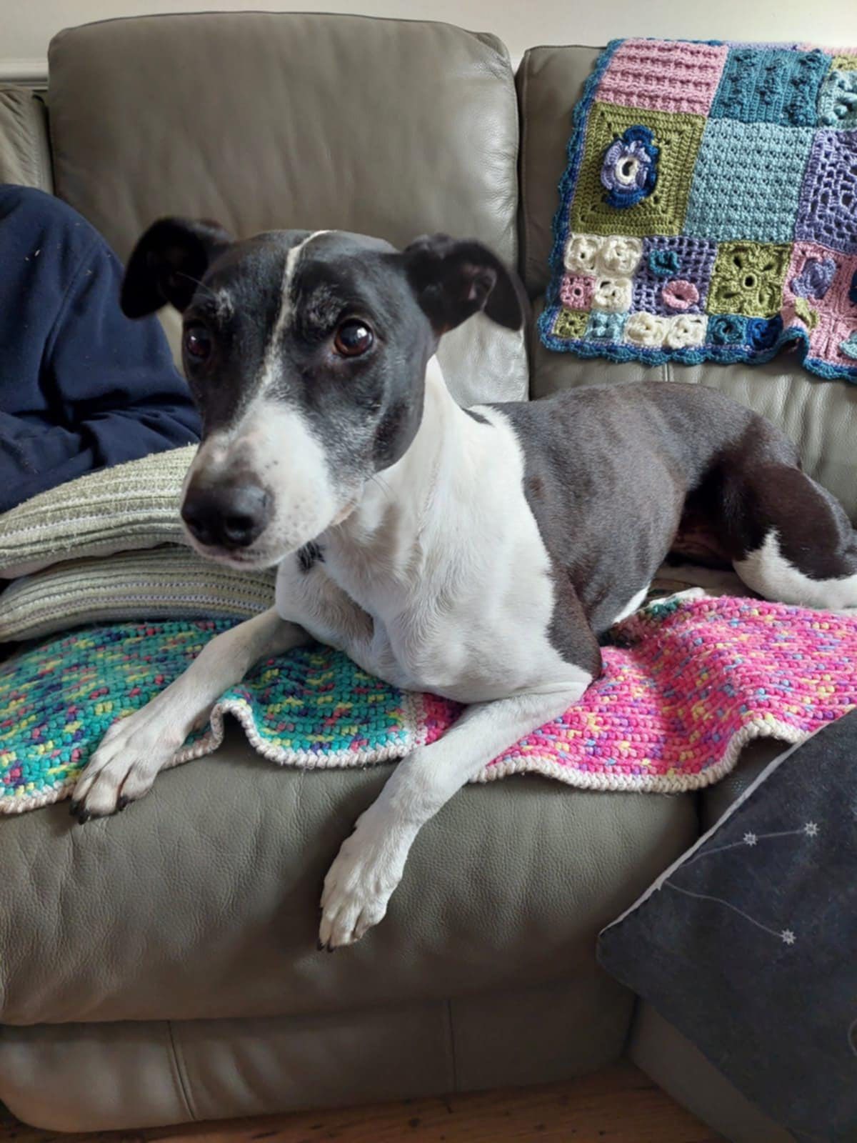 553472341_1439708390975802_730664518895419369_n