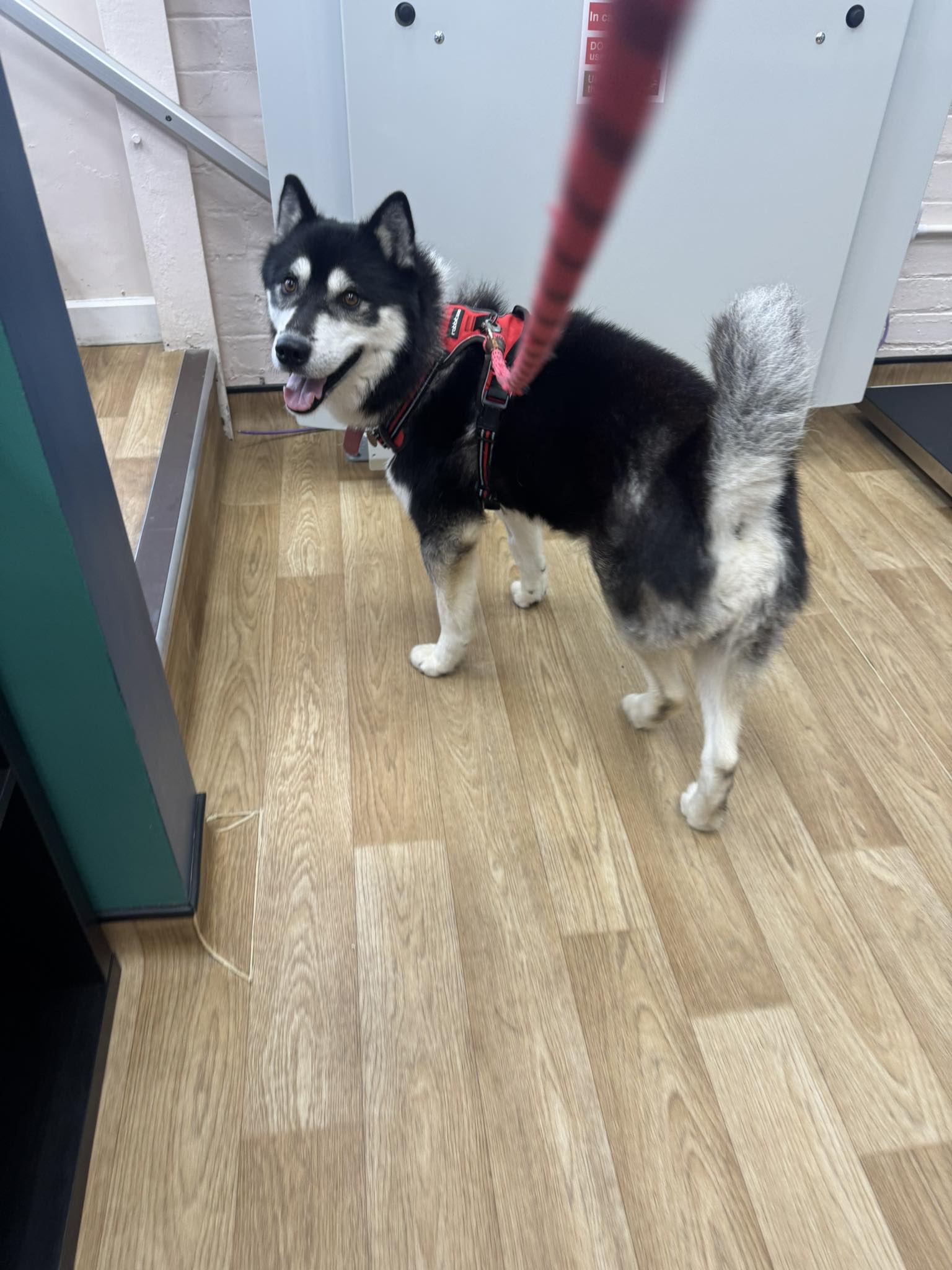 558894504_1456577949288846_6734992227962296645_n