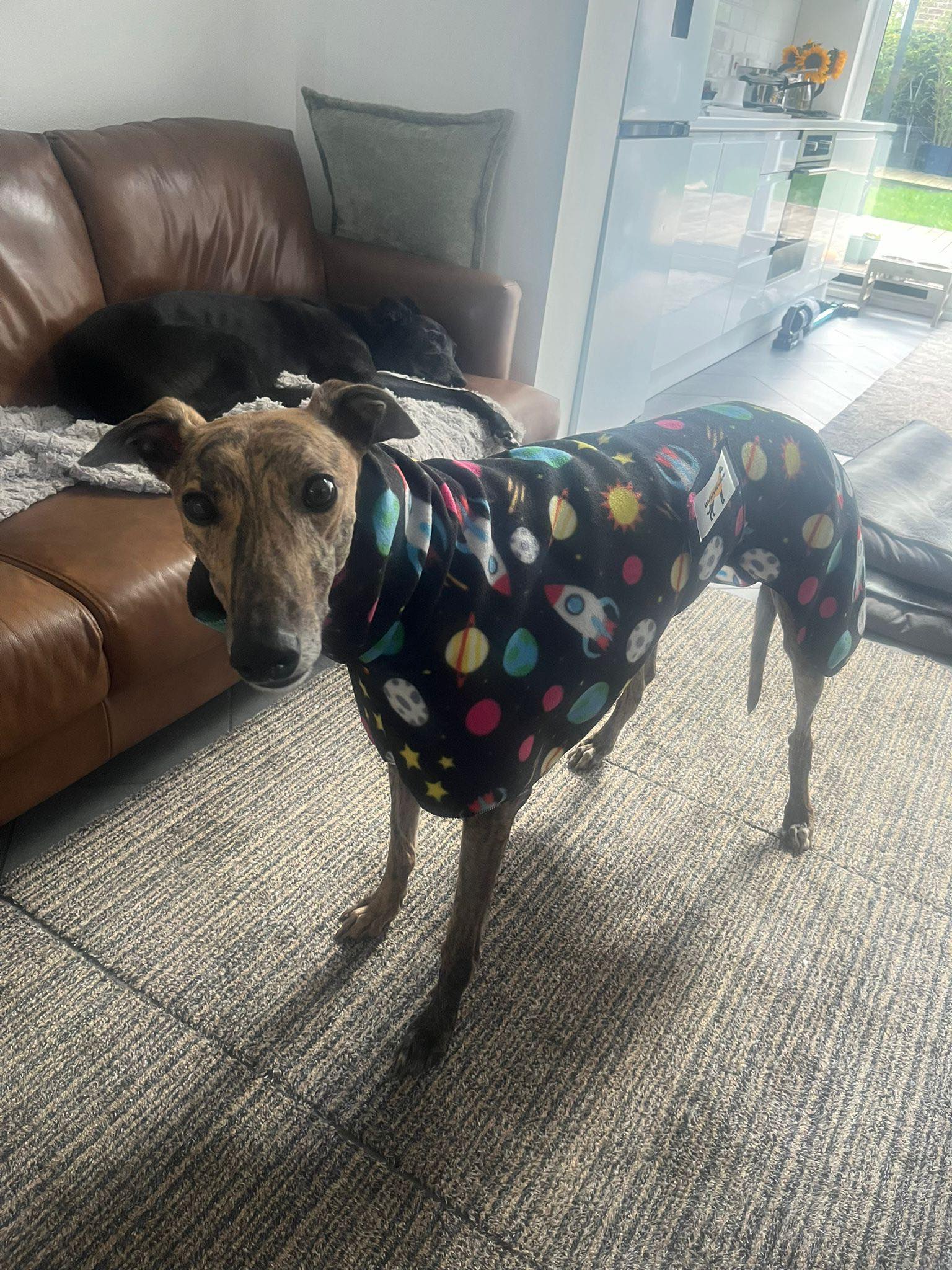 559259473_1455301922749782_4954963590565198405_n