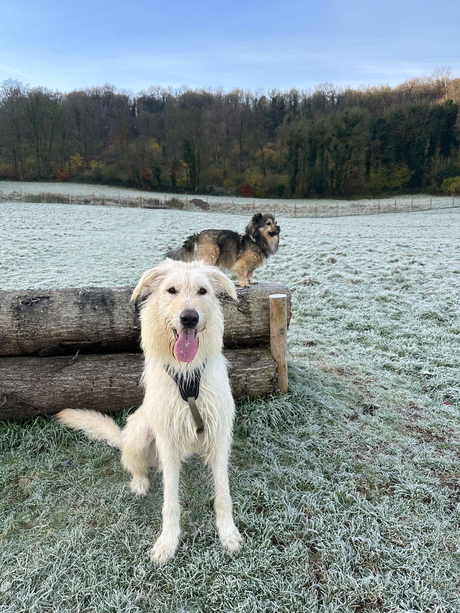 468863230_1184237043189606_3939628745260957055_n