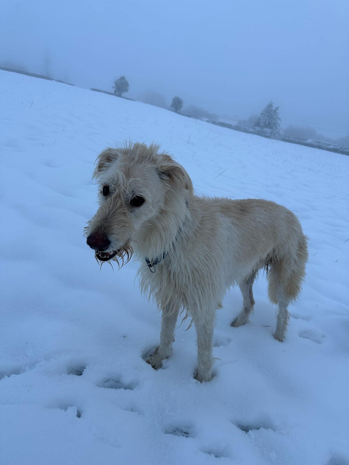 472550089_1213154526964524_5676558576425858923_n