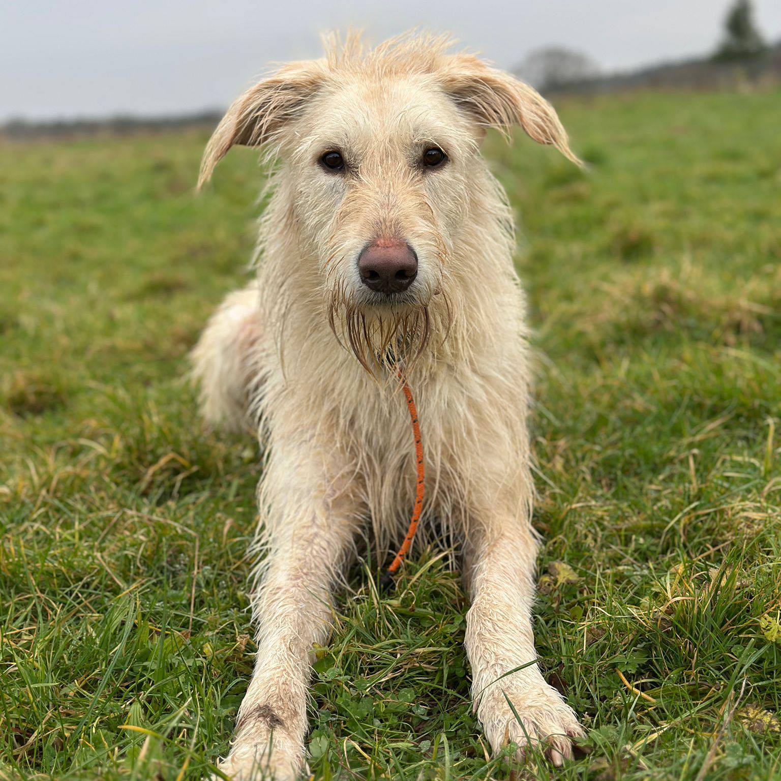 482093781_1256335785979731_334238571969567261_n