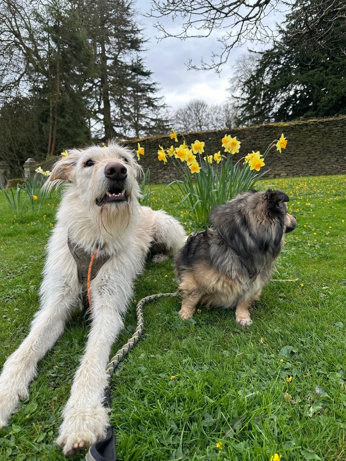 487493280_1282191806727462_1850290700851684698_n