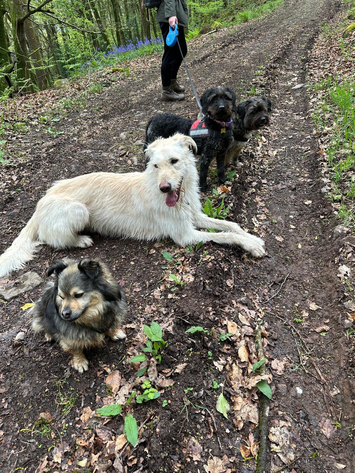 491847603_1302238134722829_4797913017336663651_n