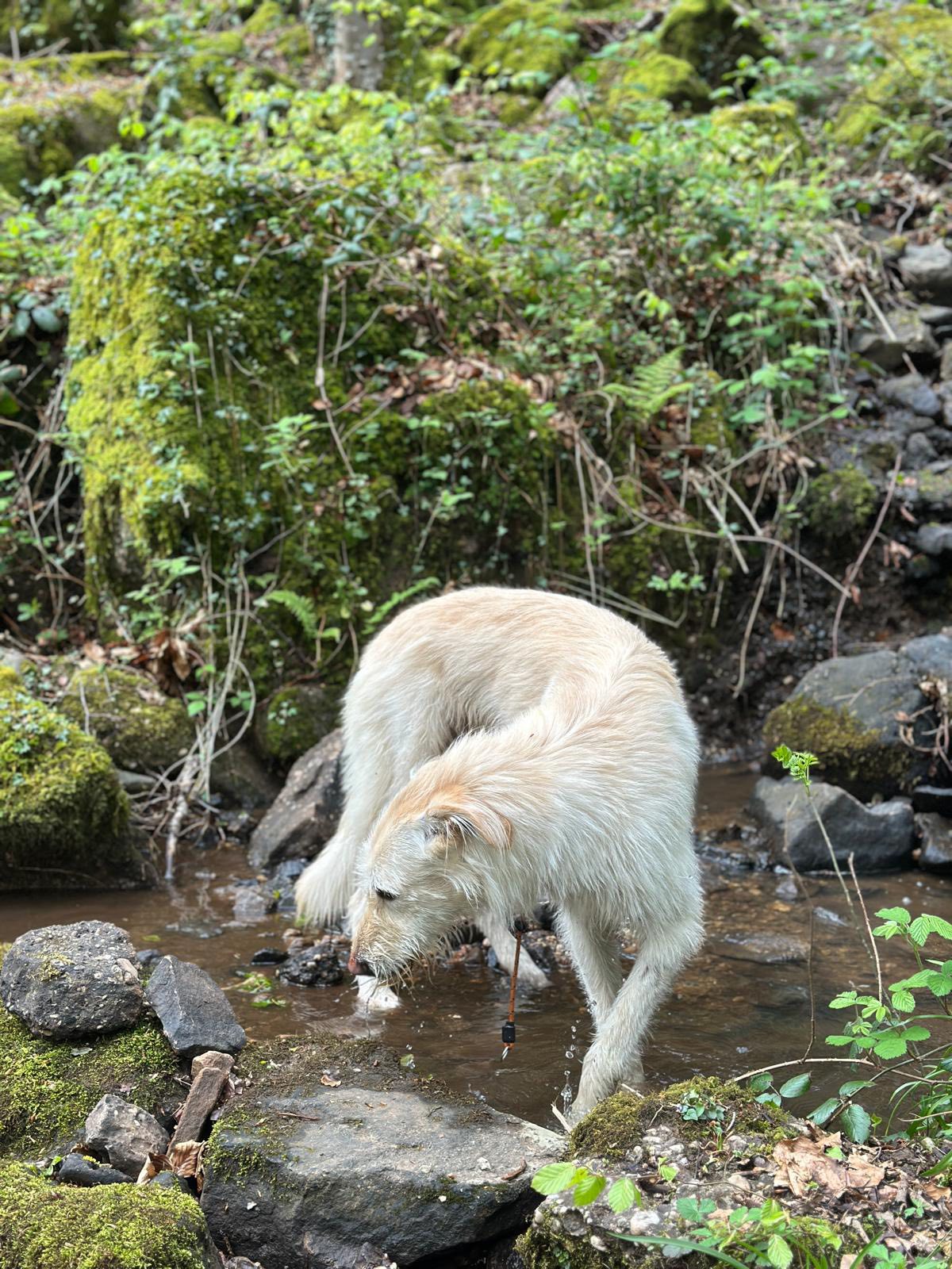 492258554_1302238238056152_2219073518708779897_n