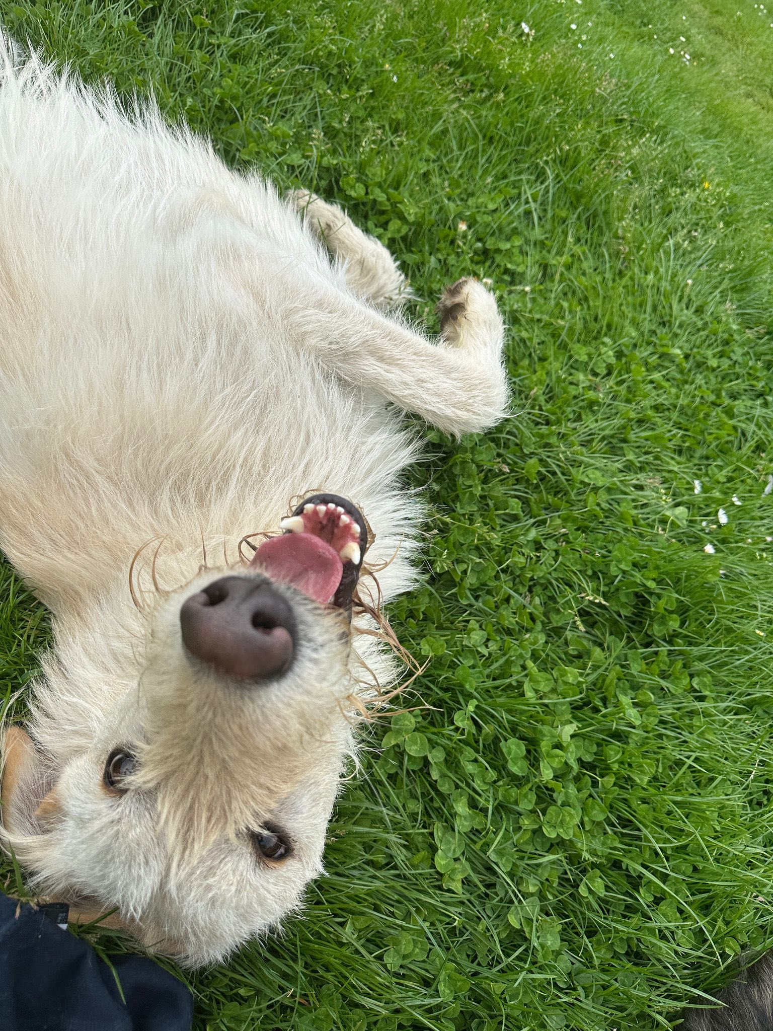 494662858_1315422683404374_1991157423365445673_n