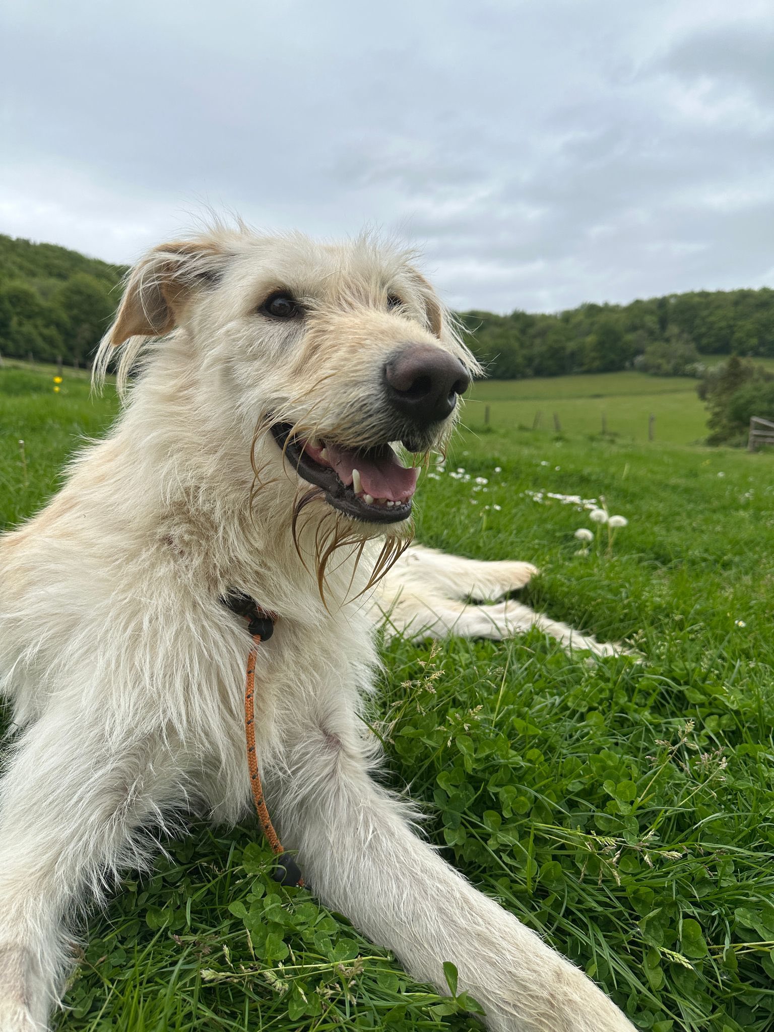 495046272_1315422650071044_5092648521191436066_n