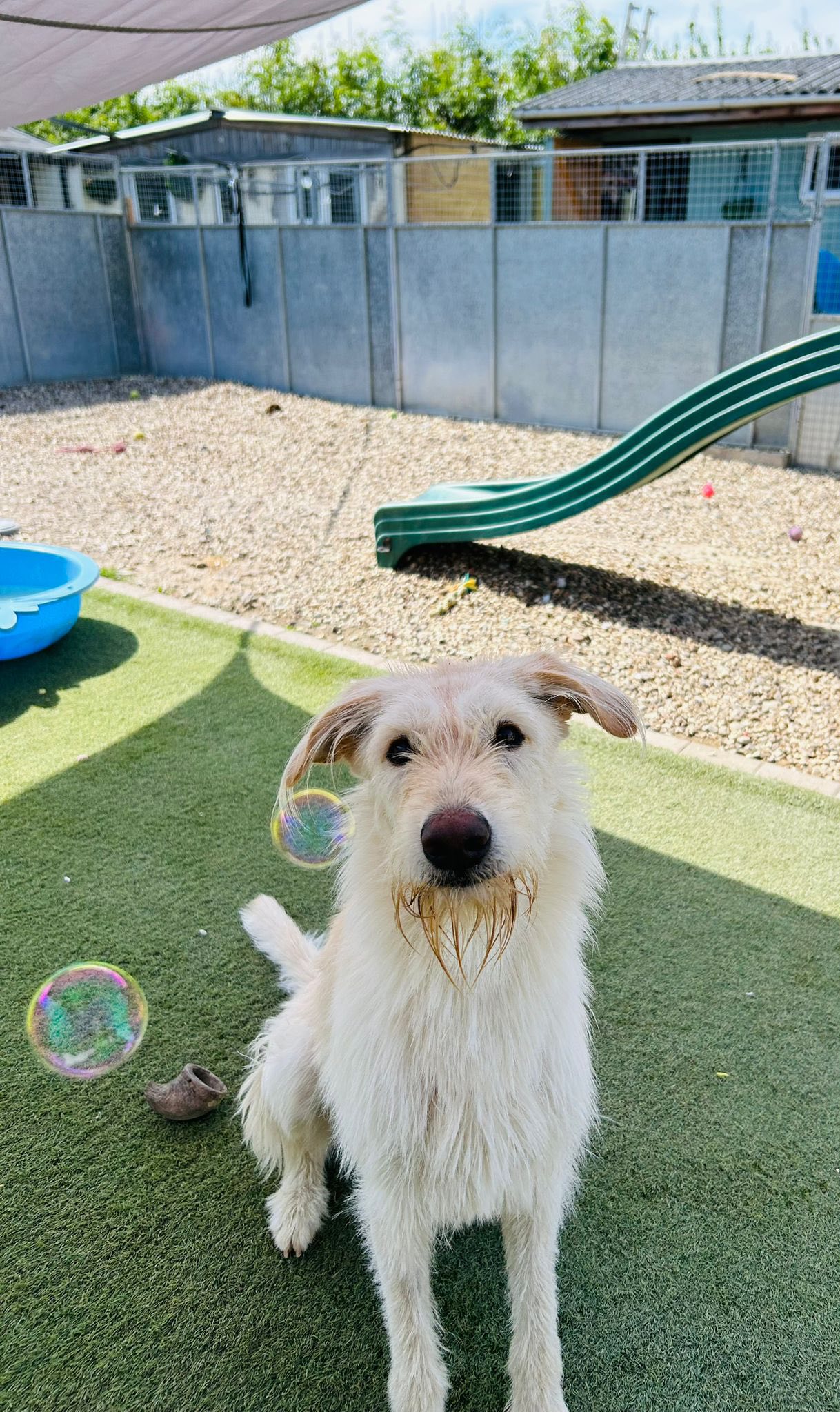 498591997_1329930761953566_2693777566347488425_n