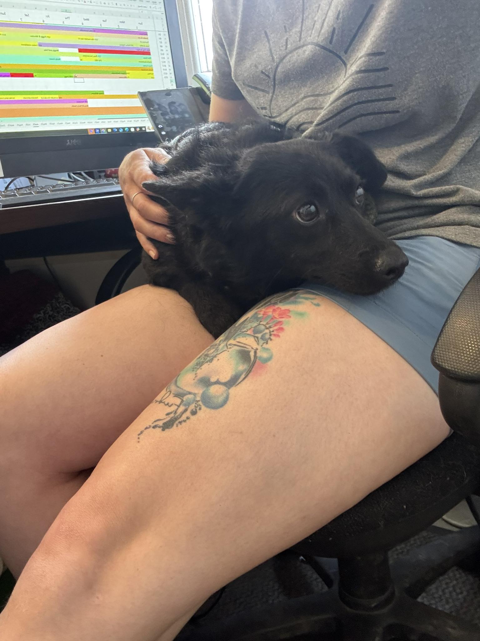 499946524_10163159532441354_4167390151750727207_n