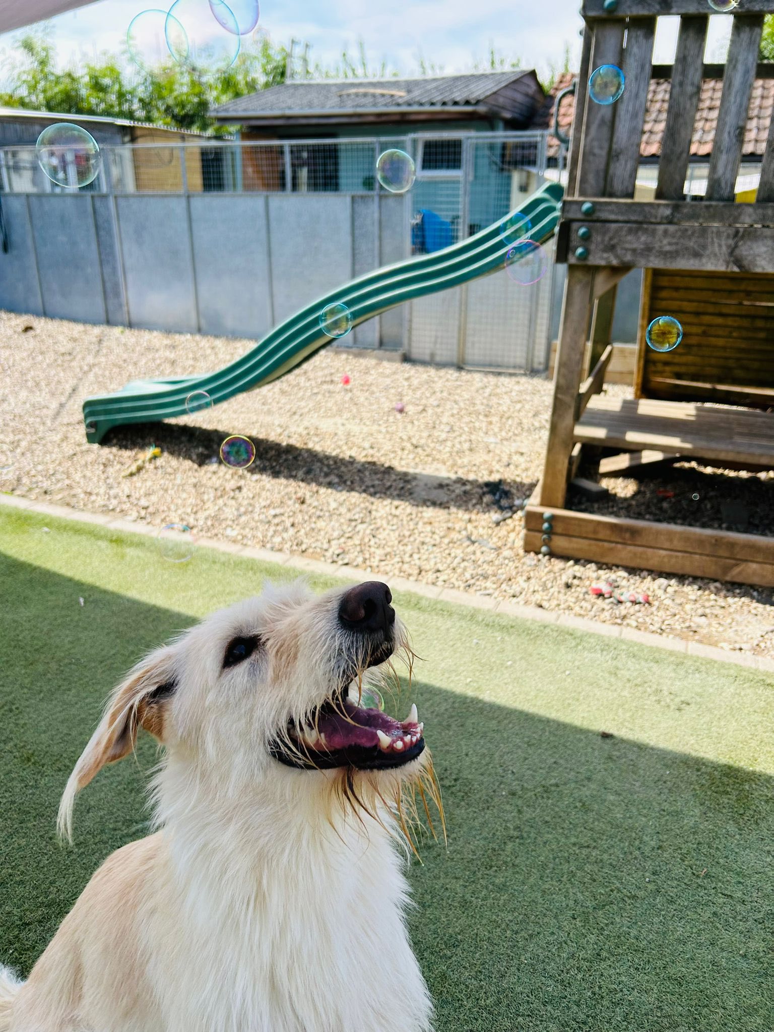 500574371_1329930745286901_223713672596800865_n