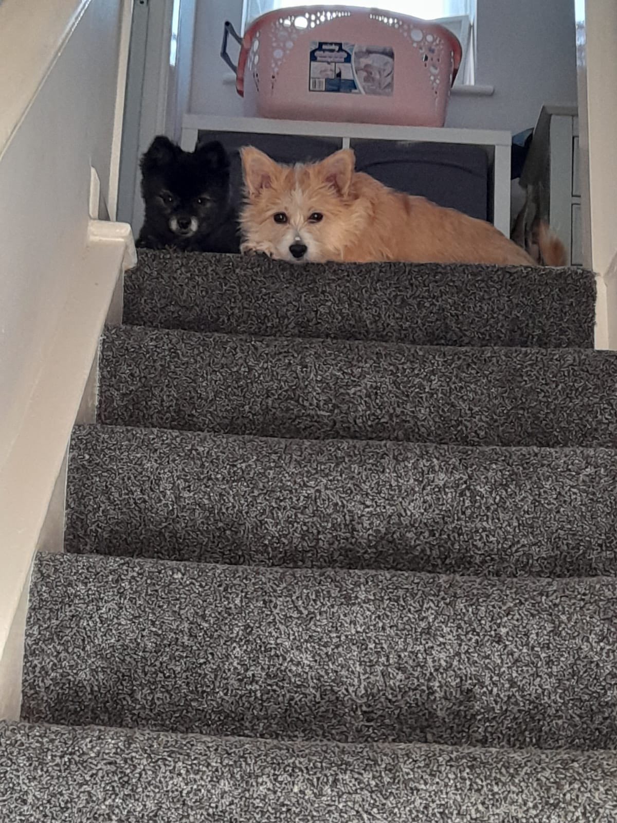 506142937_1347297800216862_1555417257618589806_n