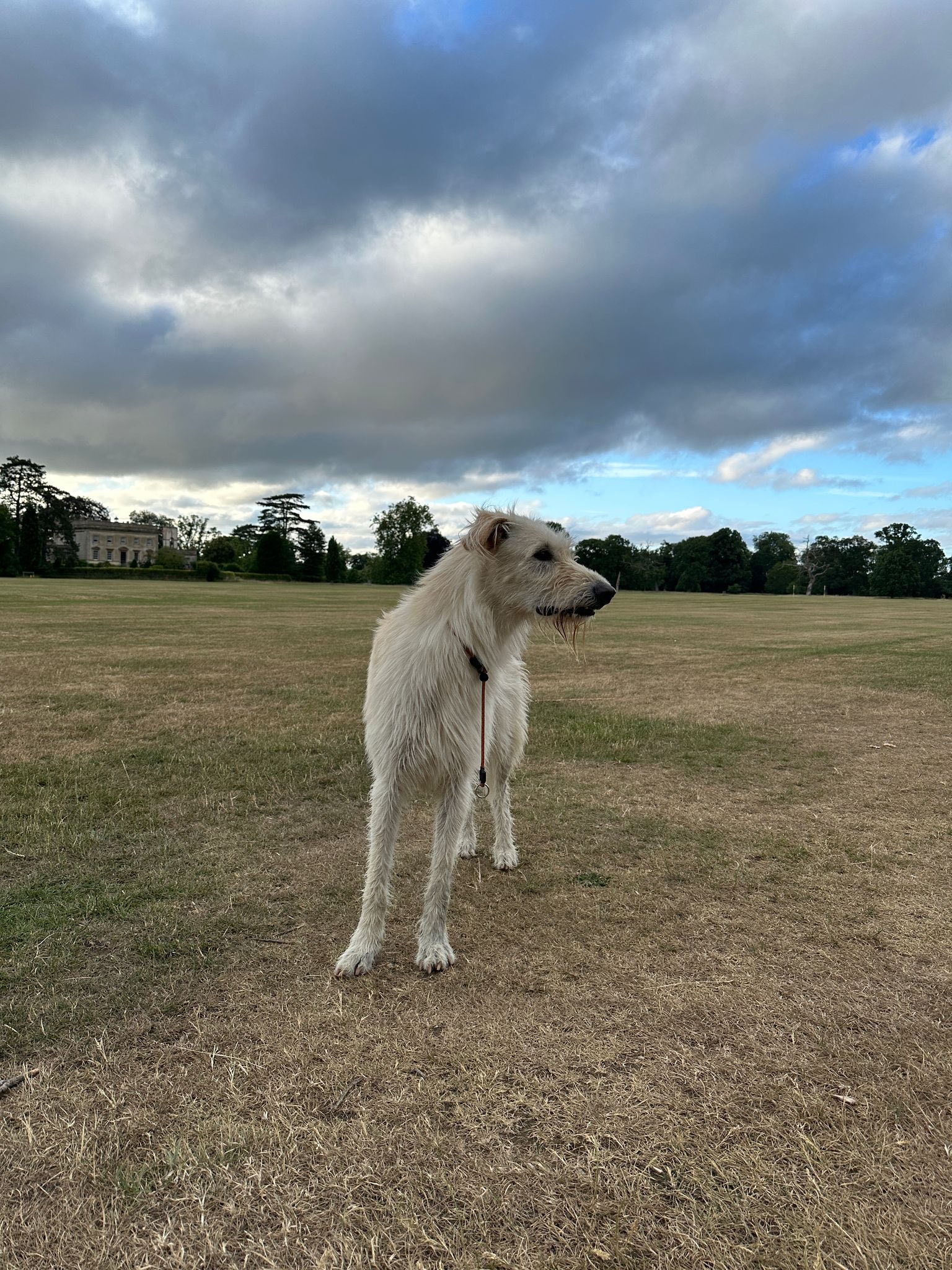 513069181_1361094818837160_653964002229990992_n