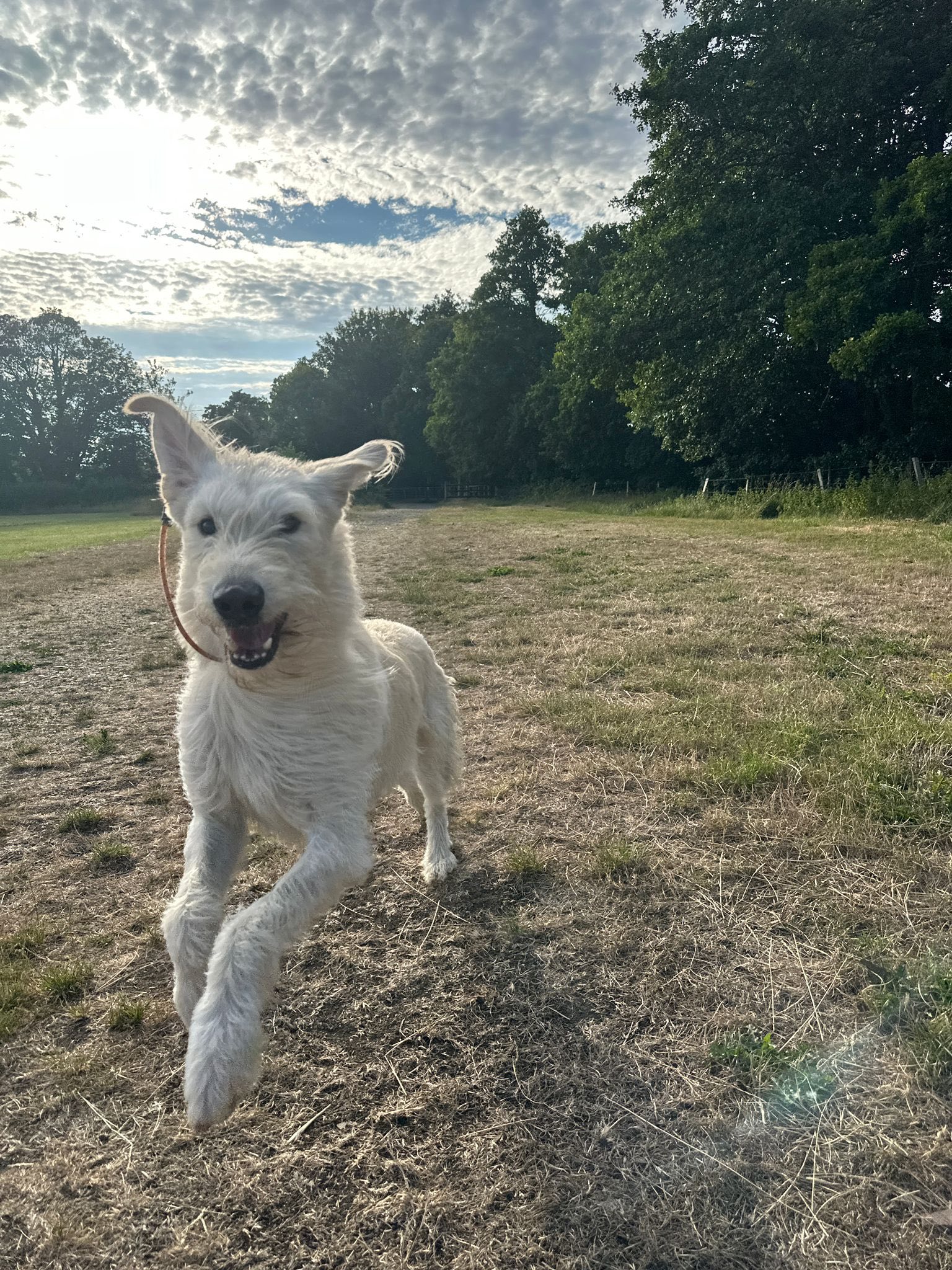 515065075_1365439571736018_4665074963607220310_n