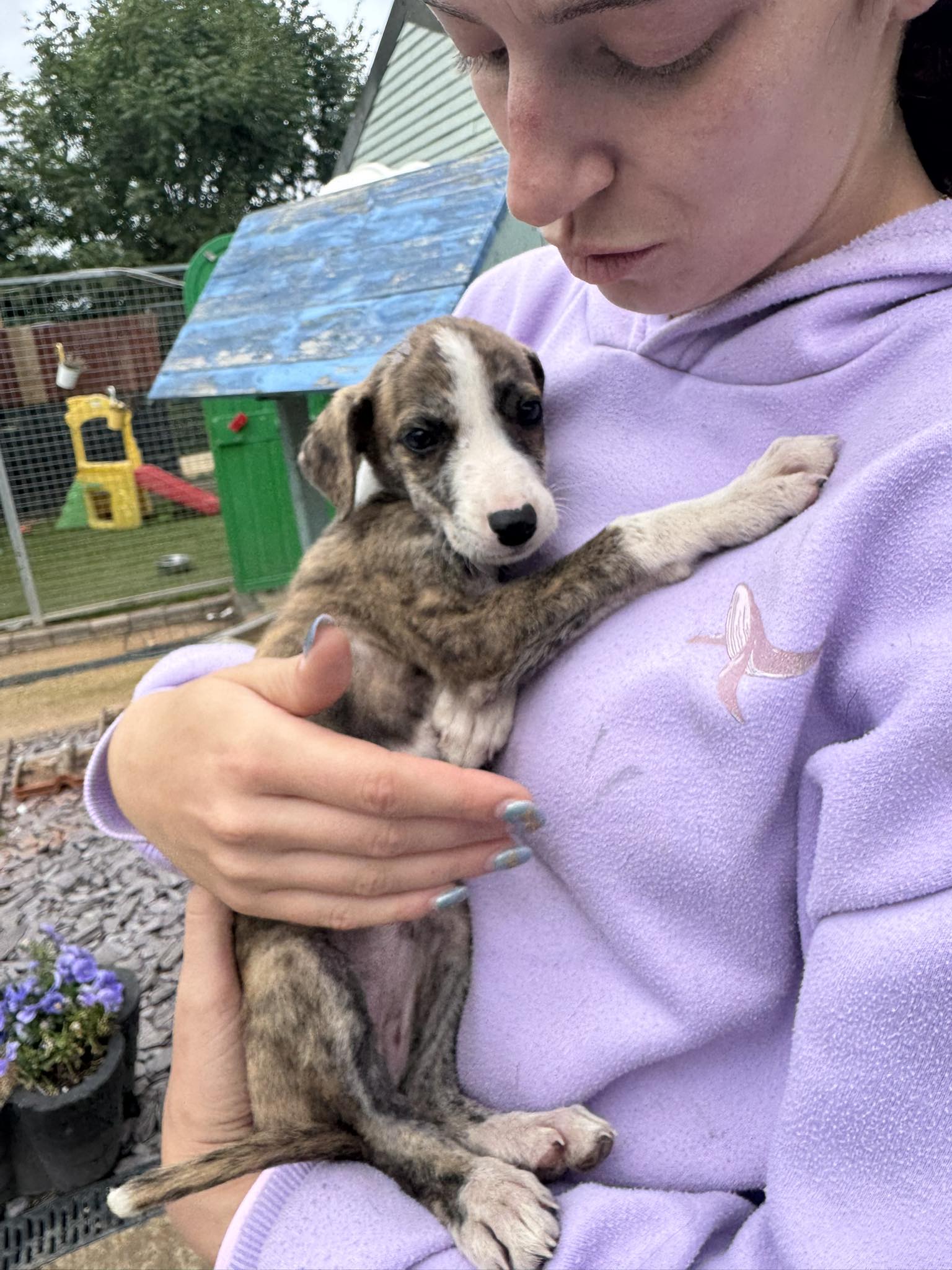 546283193_1427580902188551_290819515296027156_n