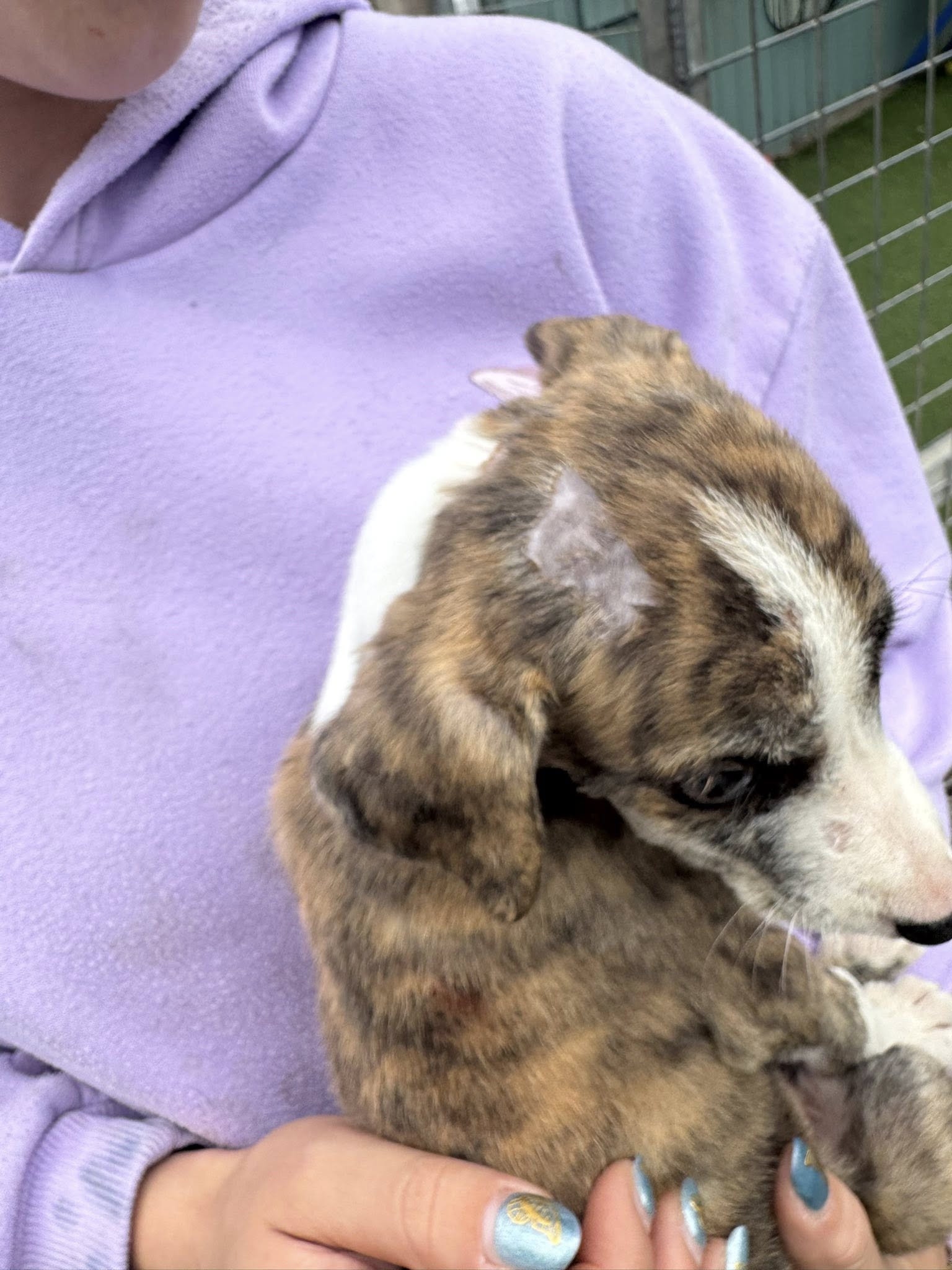 546316119_1427582518855056_2870369548824465594_n