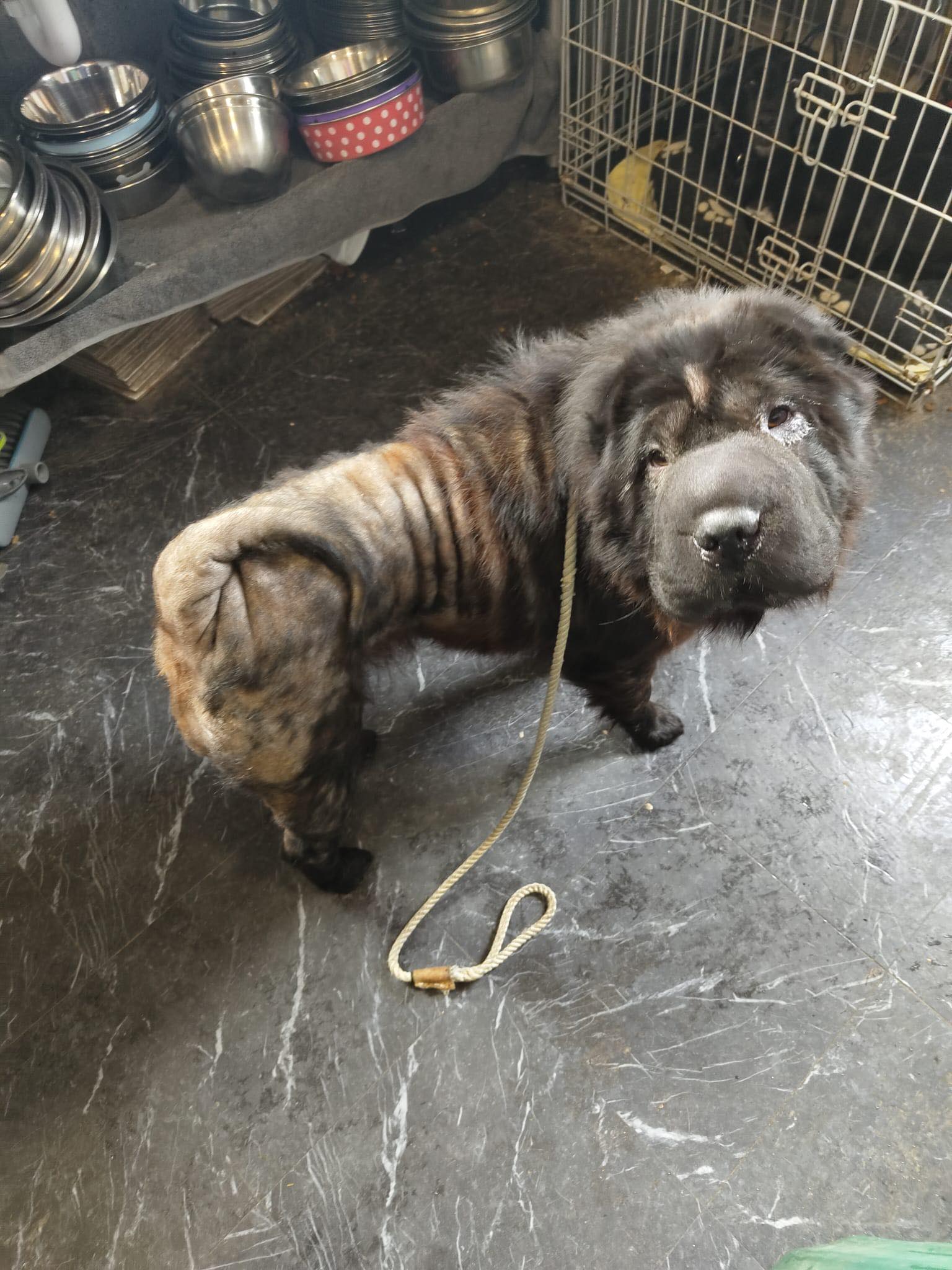 548011760_1432789238334384_8351861354855810263_n