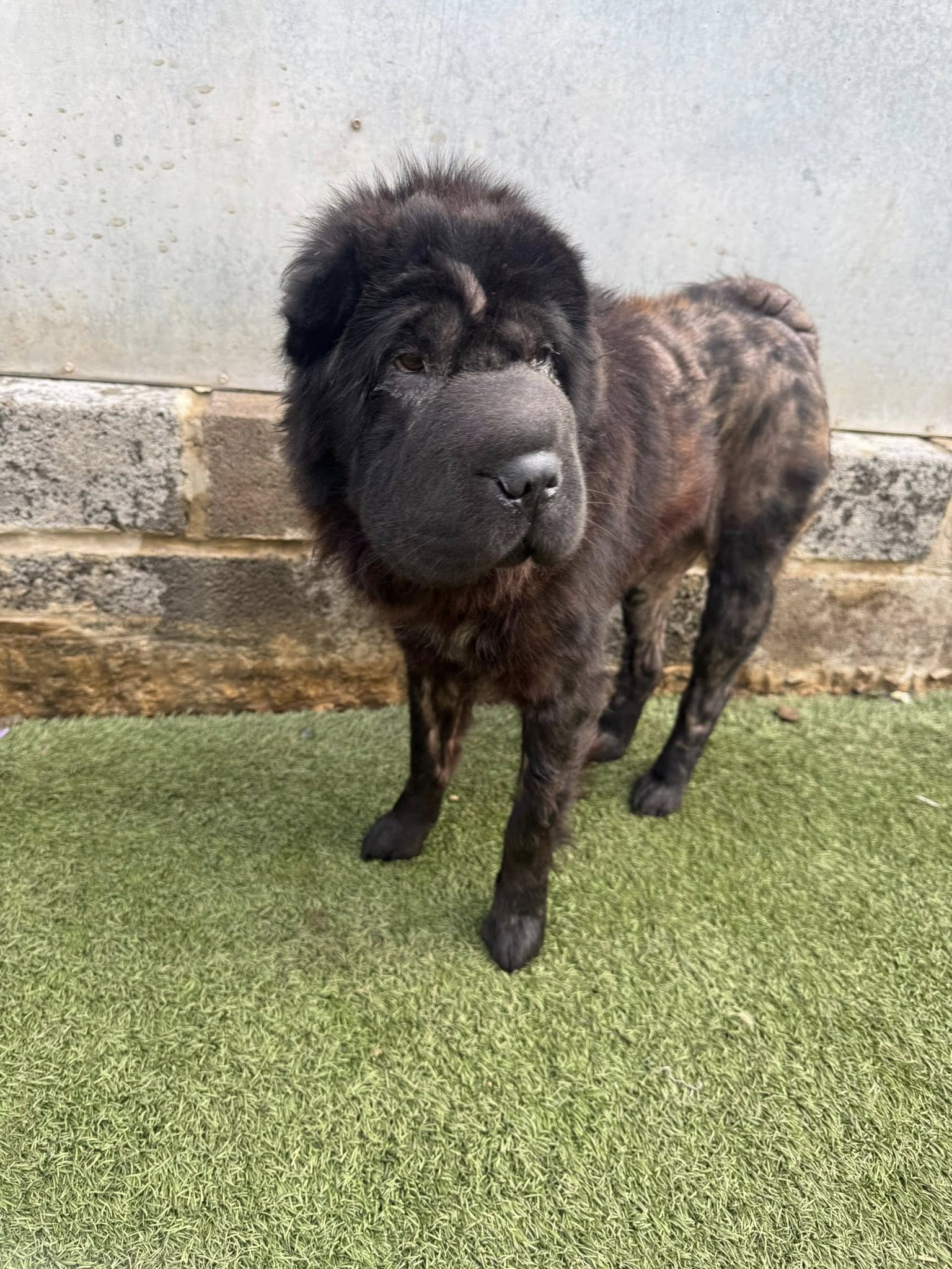 548449853_1435287901417851_4148931966341499079_n