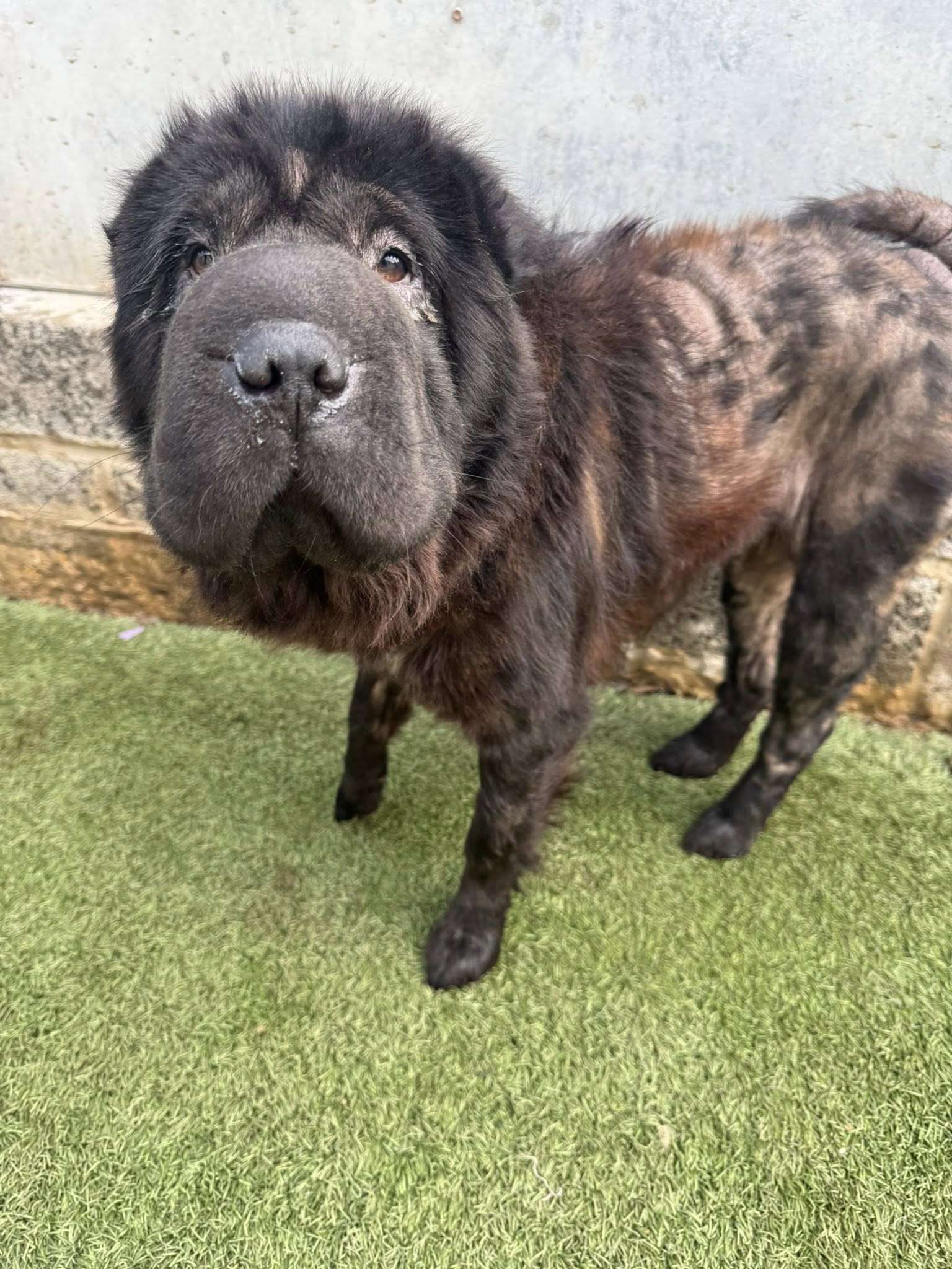 549062401_1435287894751185_4752961614707911415_n