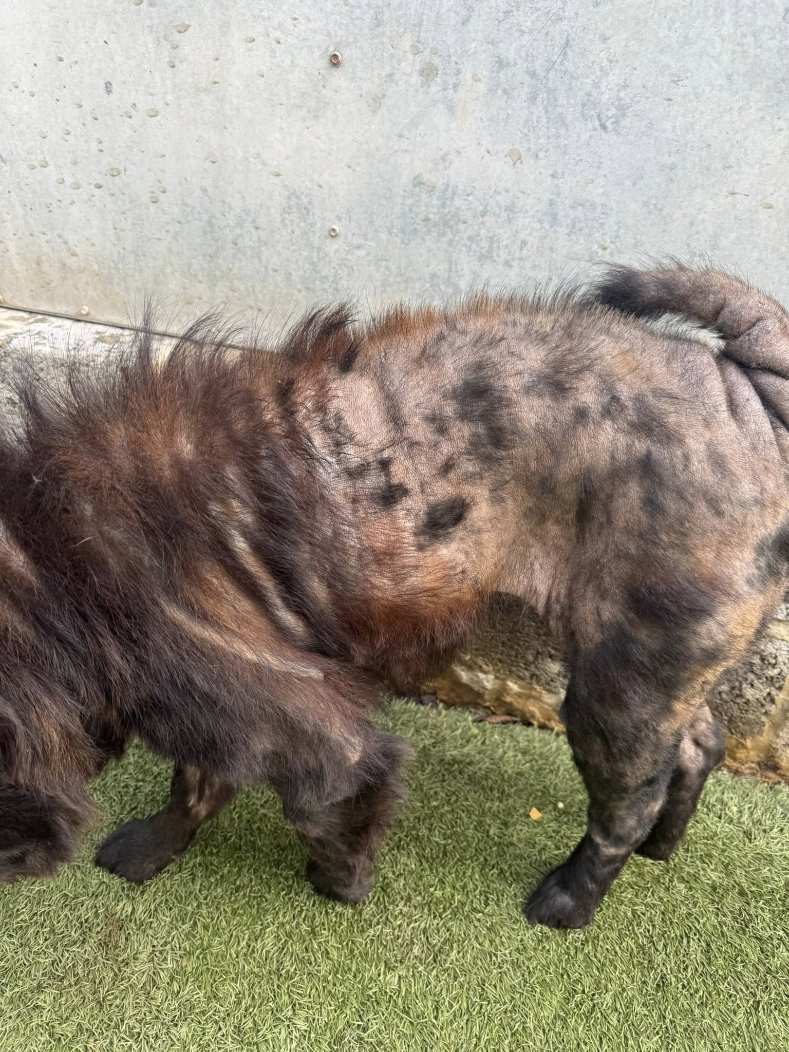 549563537_1435287931417848_6374799420983854428_n