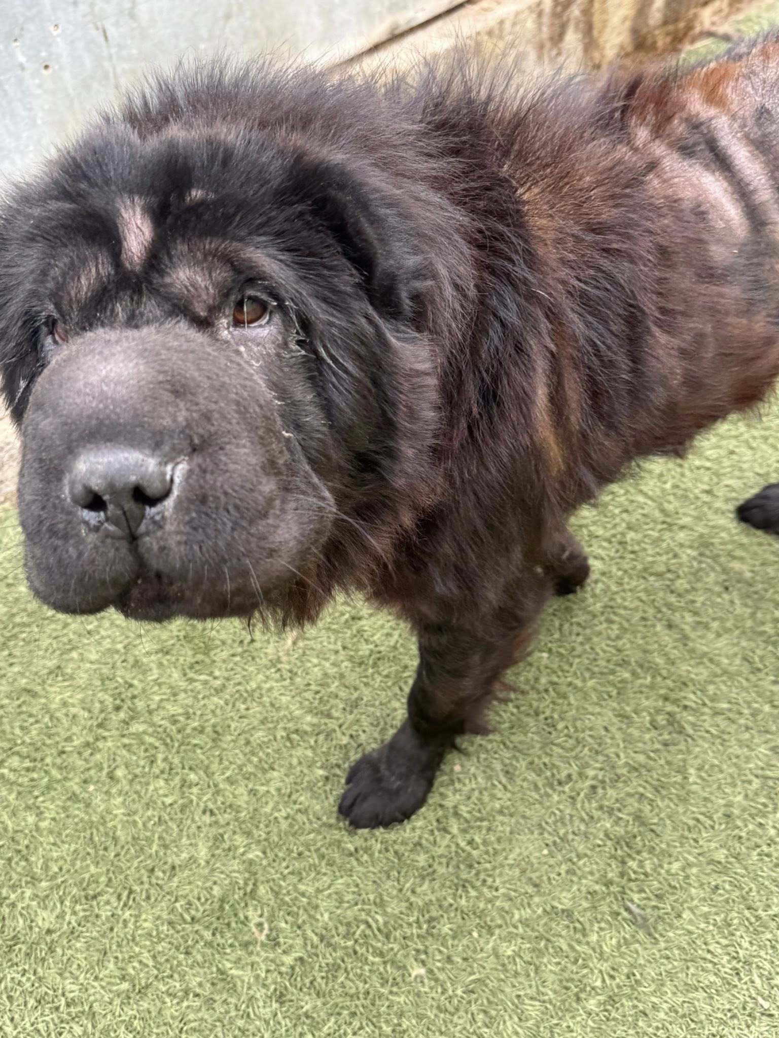 555482426_1444478583832116_7158272751946522435_n