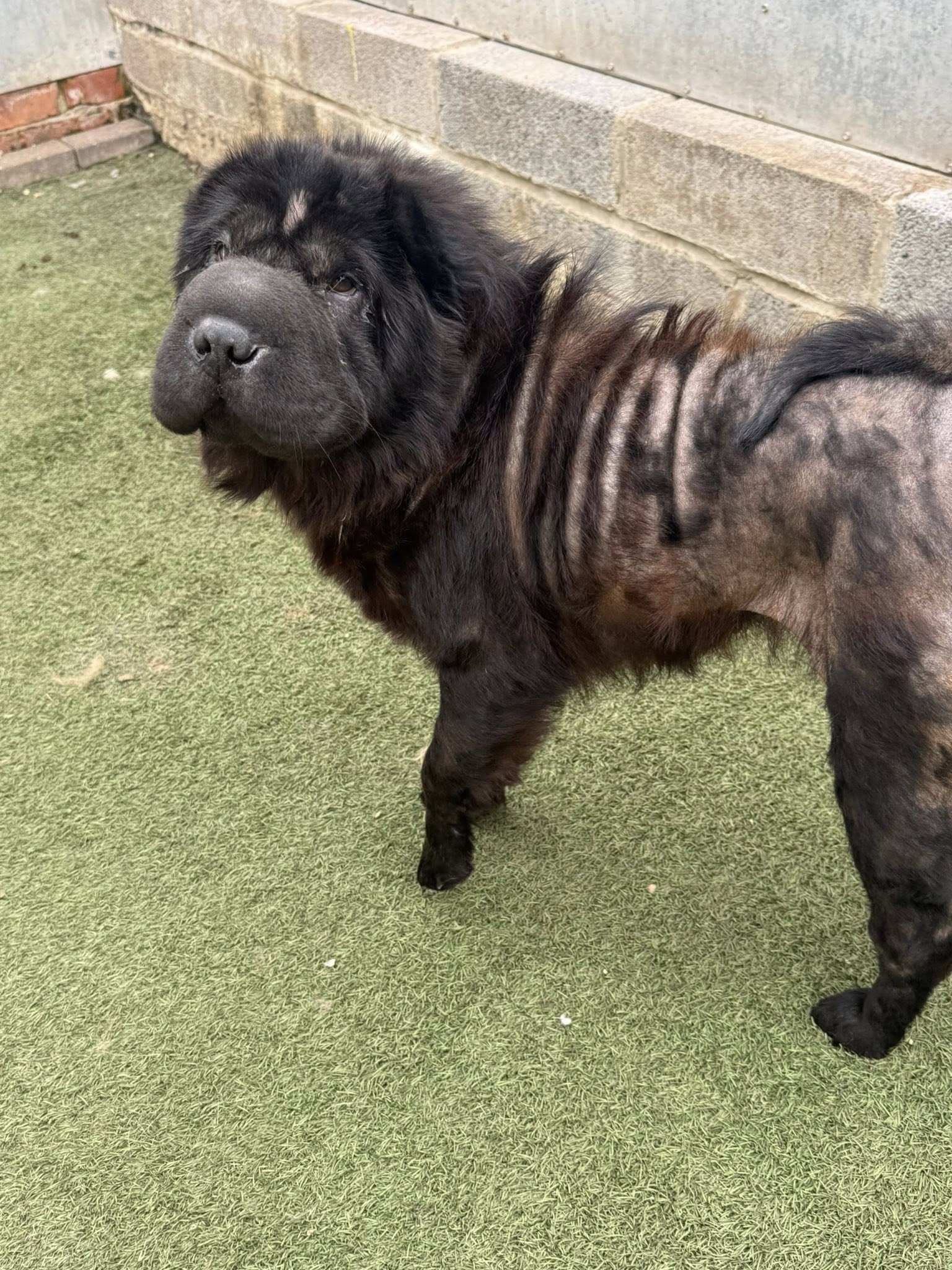 555757566_1444478590498782_4418726851630257887_n