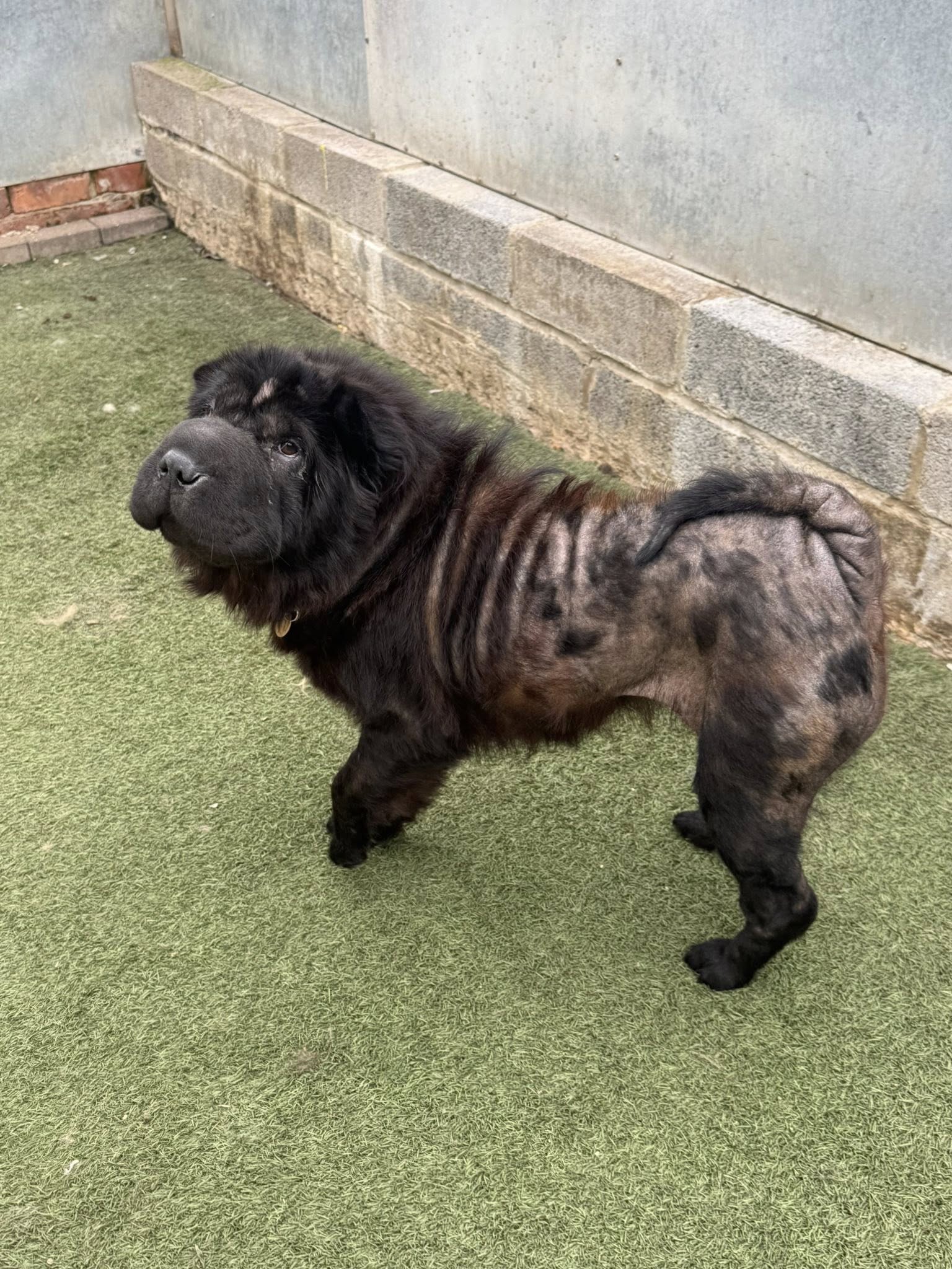 556019462_1444478533832121_1013762497855869236_n