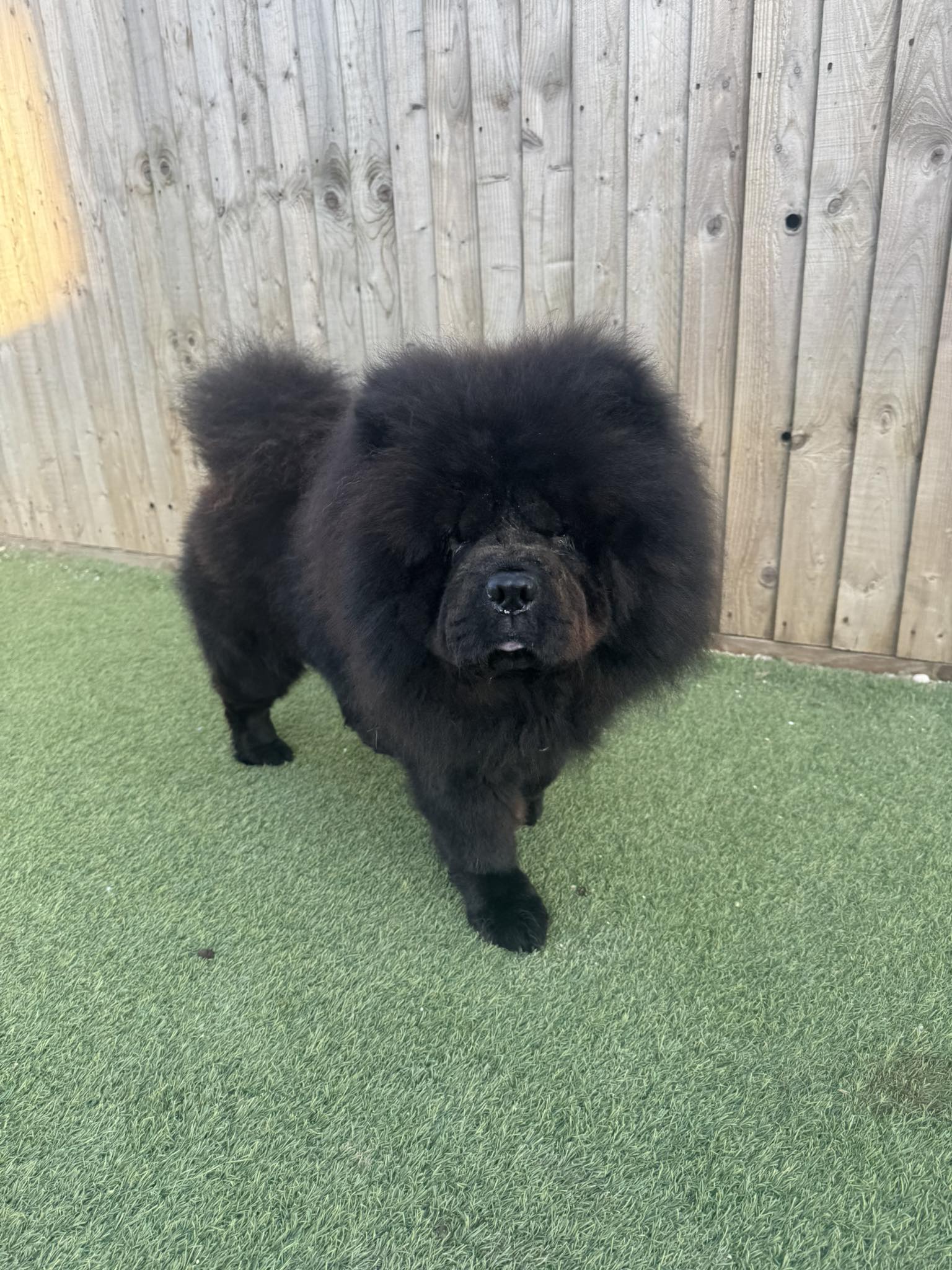 556531526_1447587003521274_617620393612429442_n